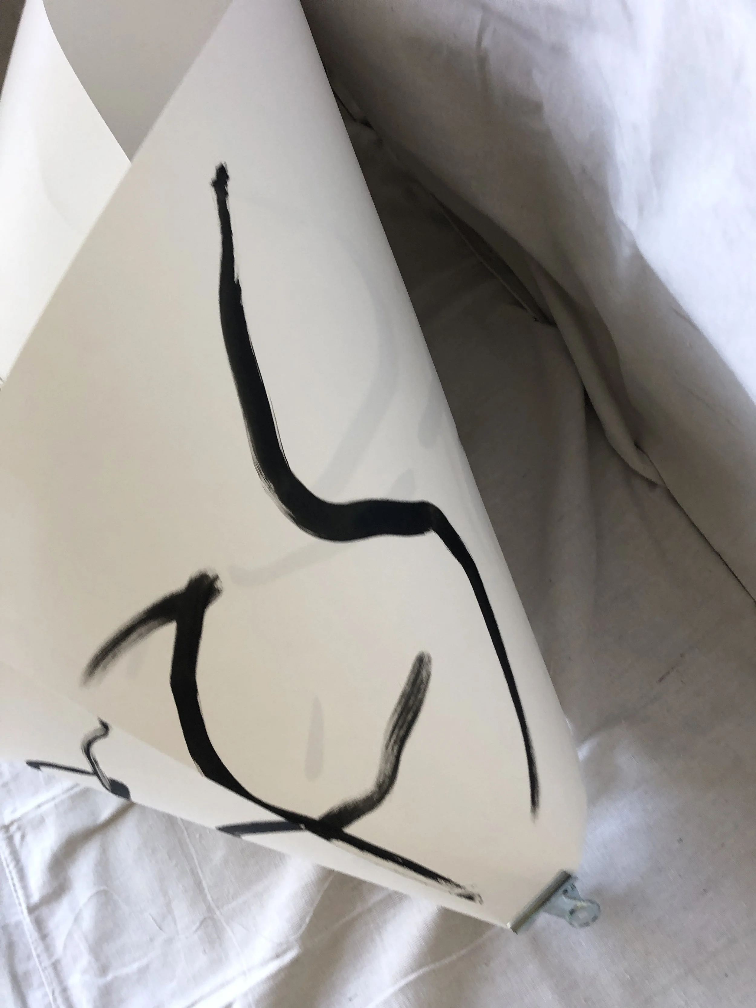 Kevin-Brown-Calligraphy-Mobius-III-IMG_0775 (2).JPG