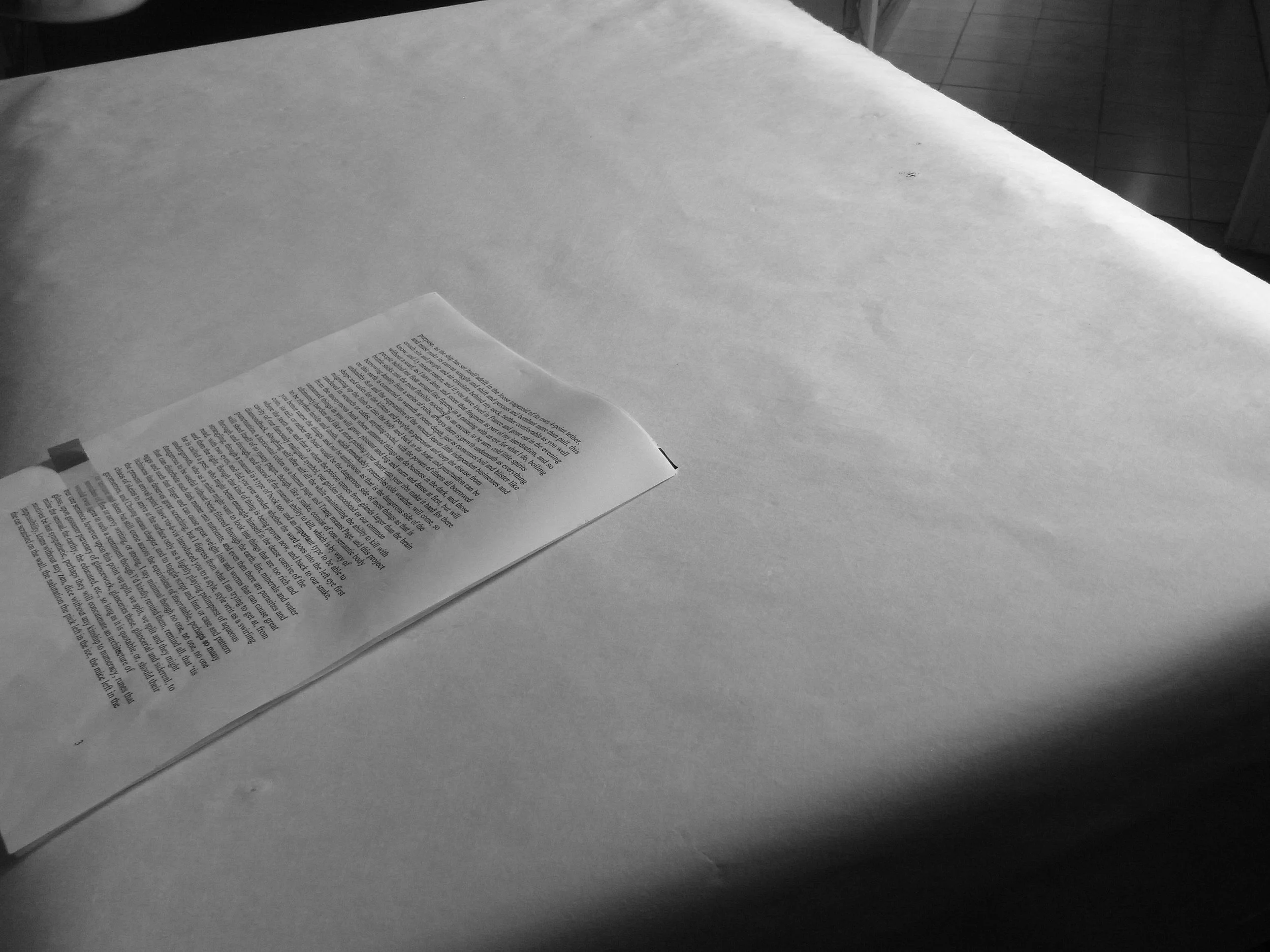 Kevin-Brown-Calligraphy-Life-Sentence-XIII-R0038060.JPG