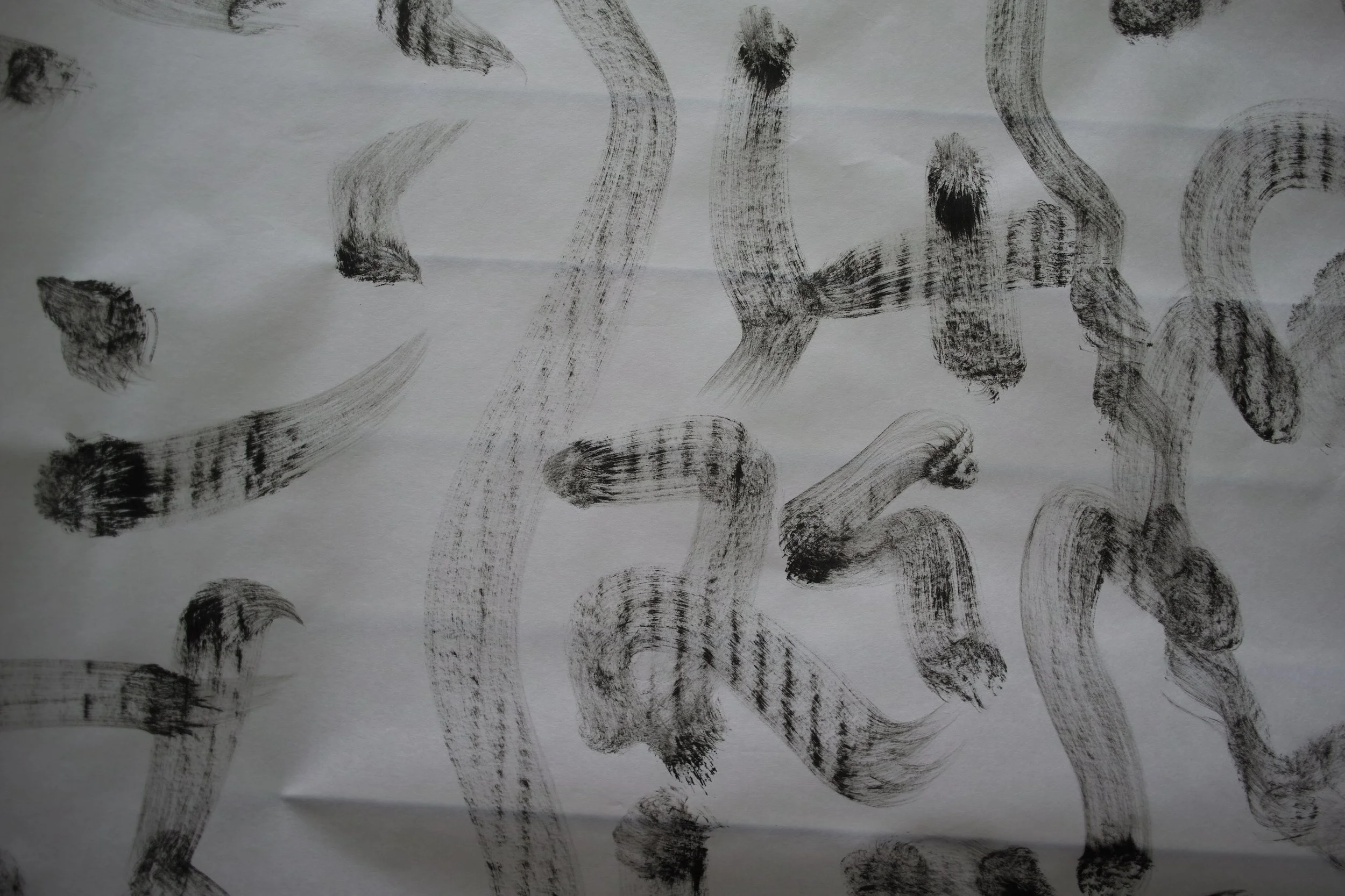 Kevin-Brown-Calligraphy-Sroll-DP1M2317.JPG