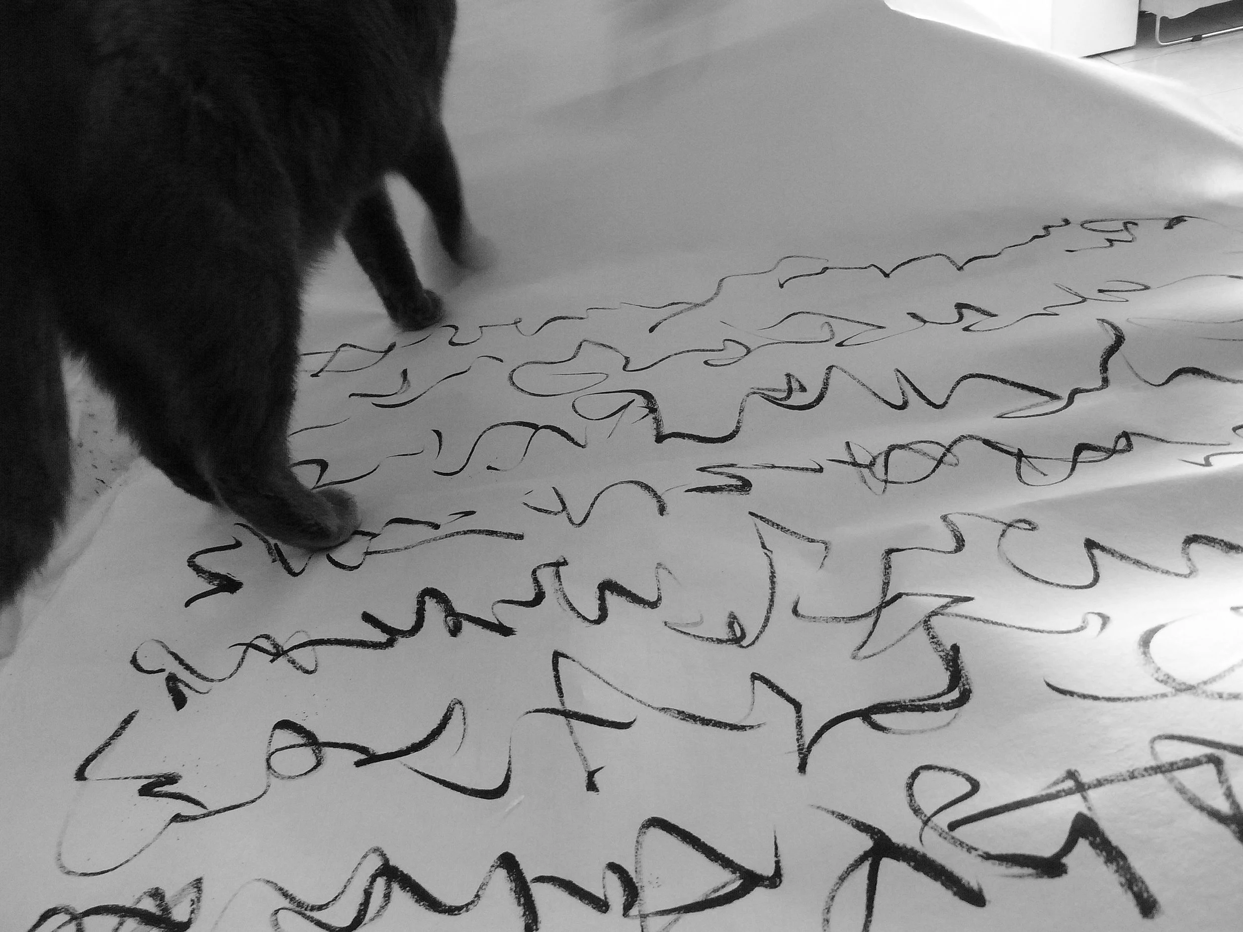 Kevin-Brown-Calligraphy-Blue-Cat-R0020193.JPG