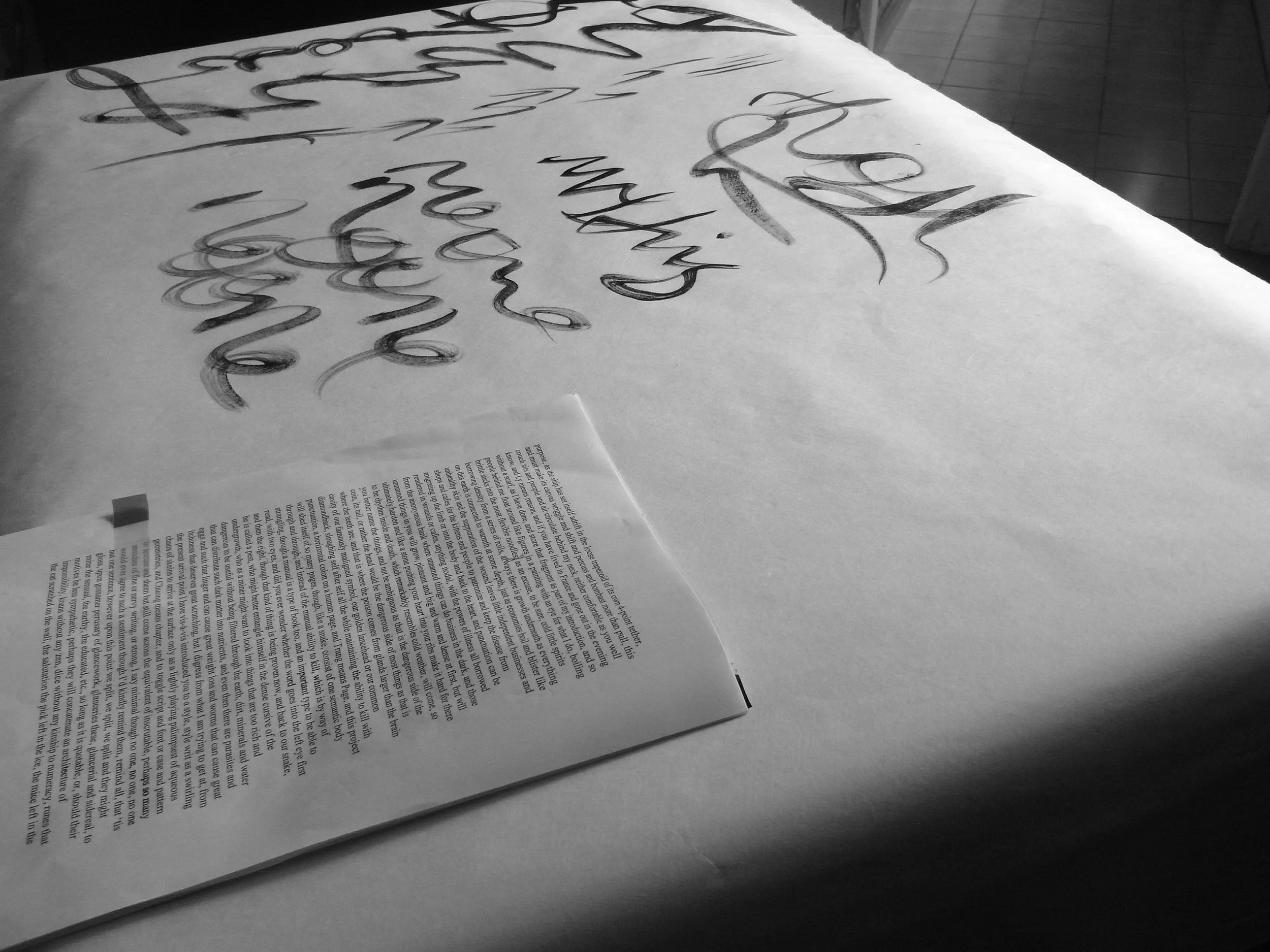 Kevin-Brown-Calligraphy-Life-Sentence-XIII-R0038102.JPG