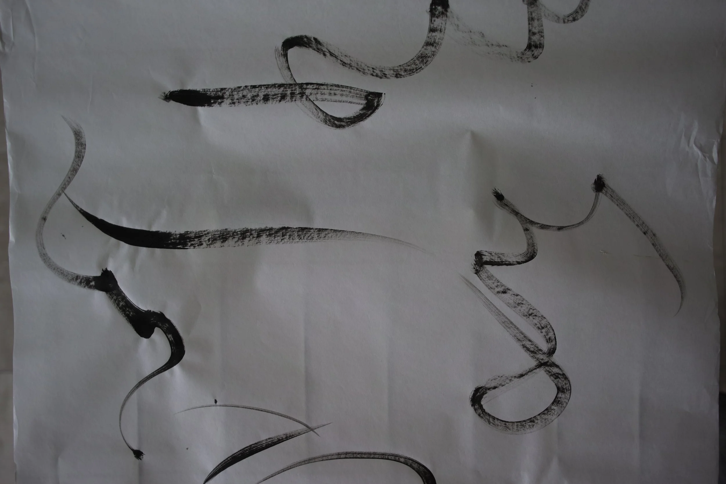Kevin-Brown-Calligraphy-Sroll-DP1M2297.JPG