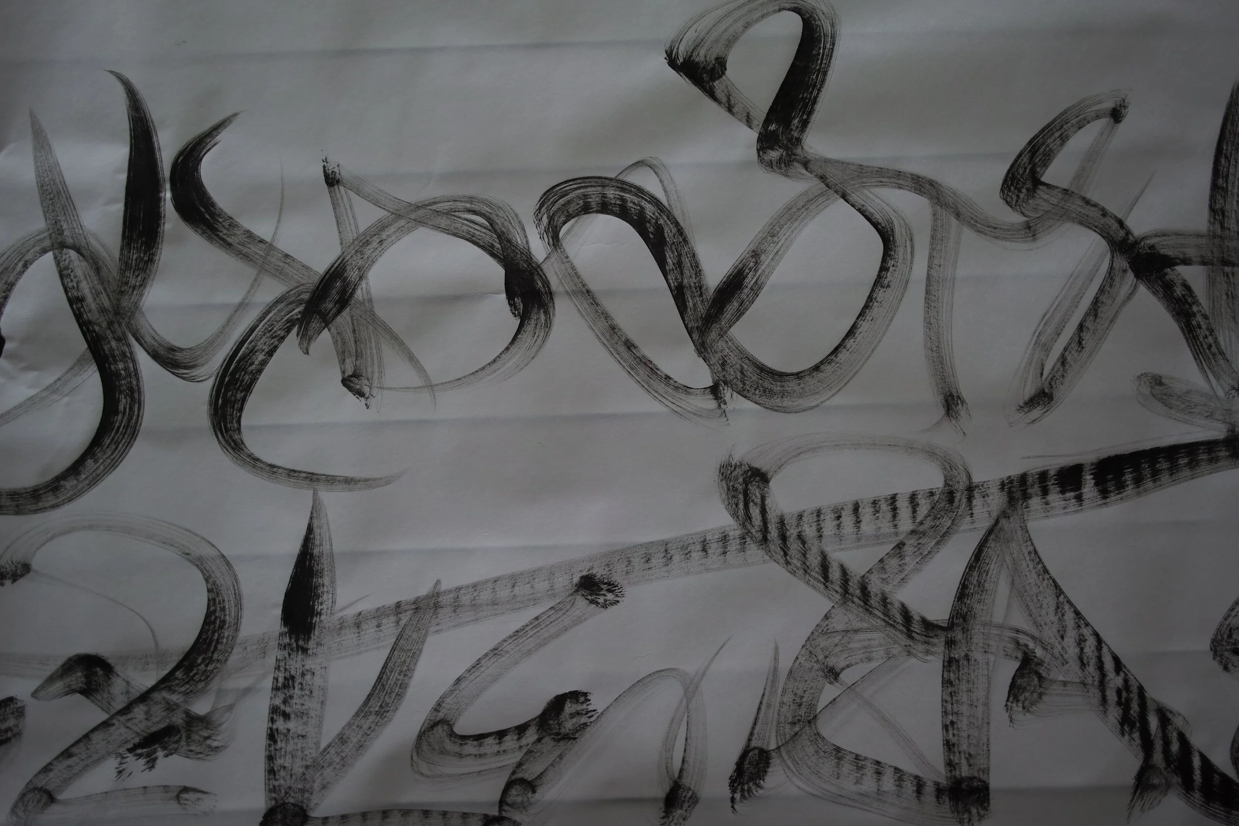Kevin-Brown-Calligraphy-Sroll-DP1M2319.JPG