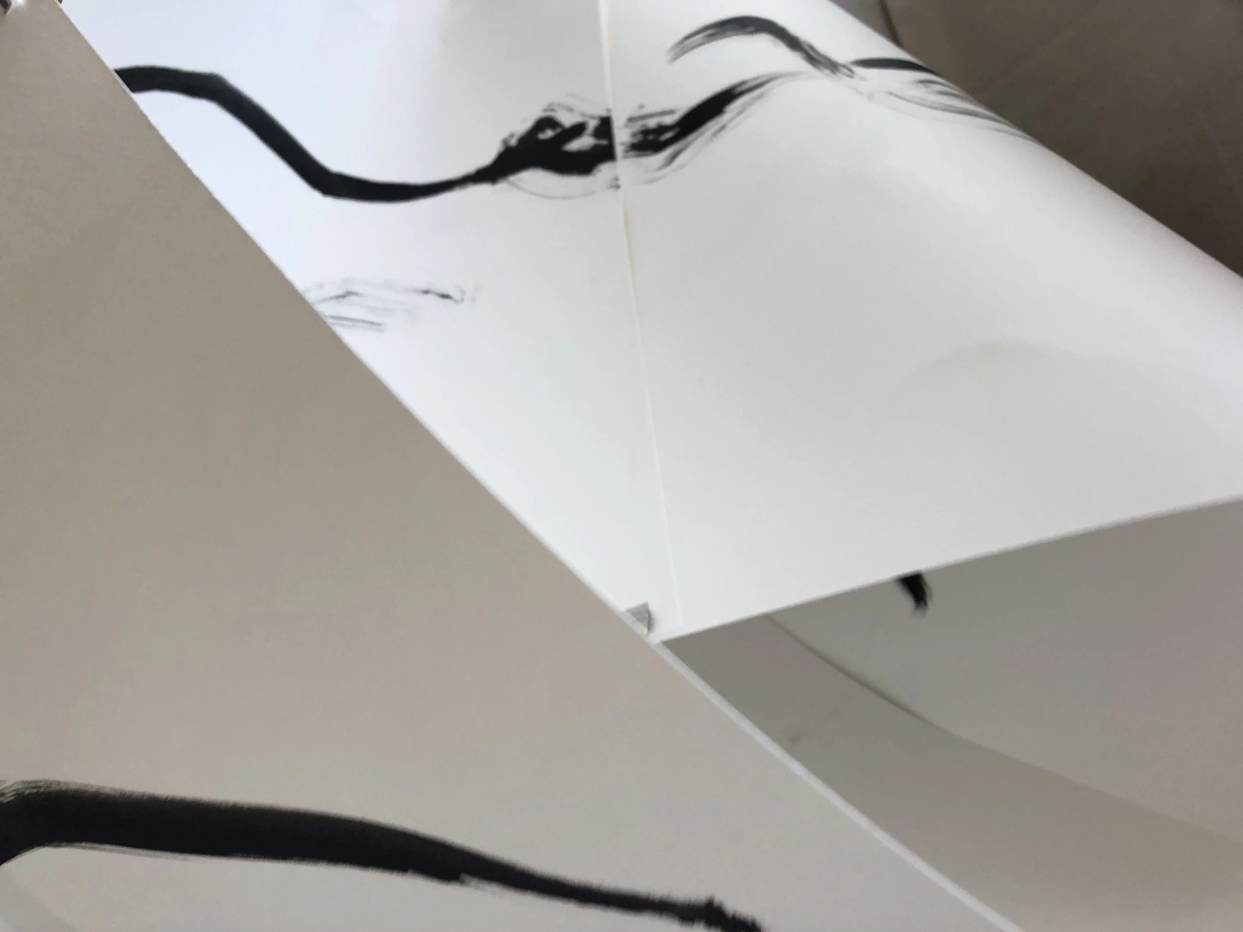 Kevin-Brown-Calligraphy-Mobius-III-IMG_0783.JPG