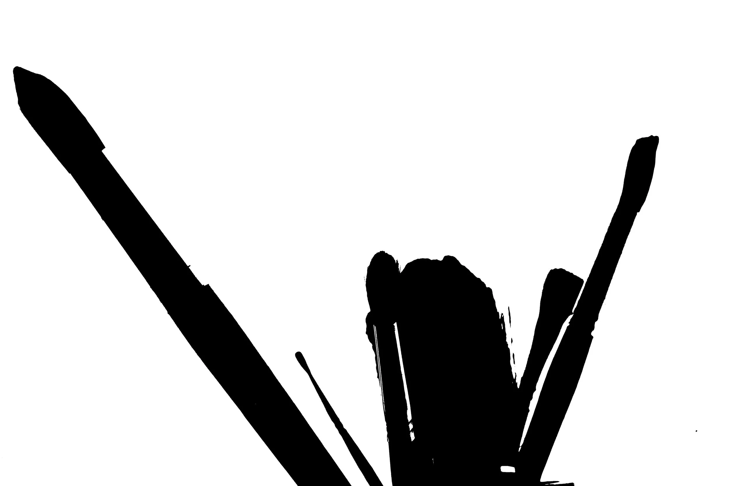 Kevin-Brown-Calligraphy-Filtered-IMG_1248f.JPG