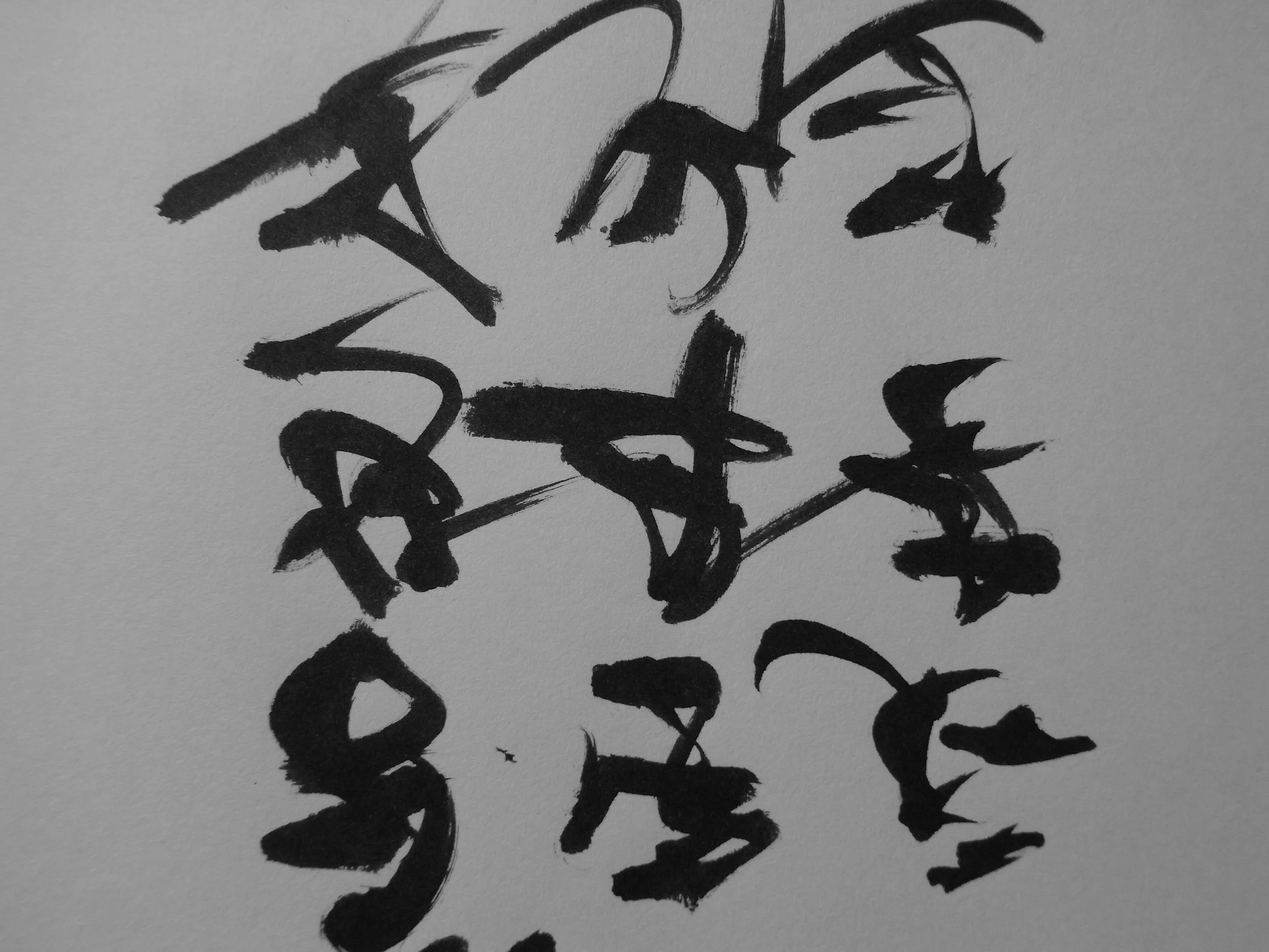 Kevin-Brown-Calligraphy-Quixotica-RIMG0618.JPG