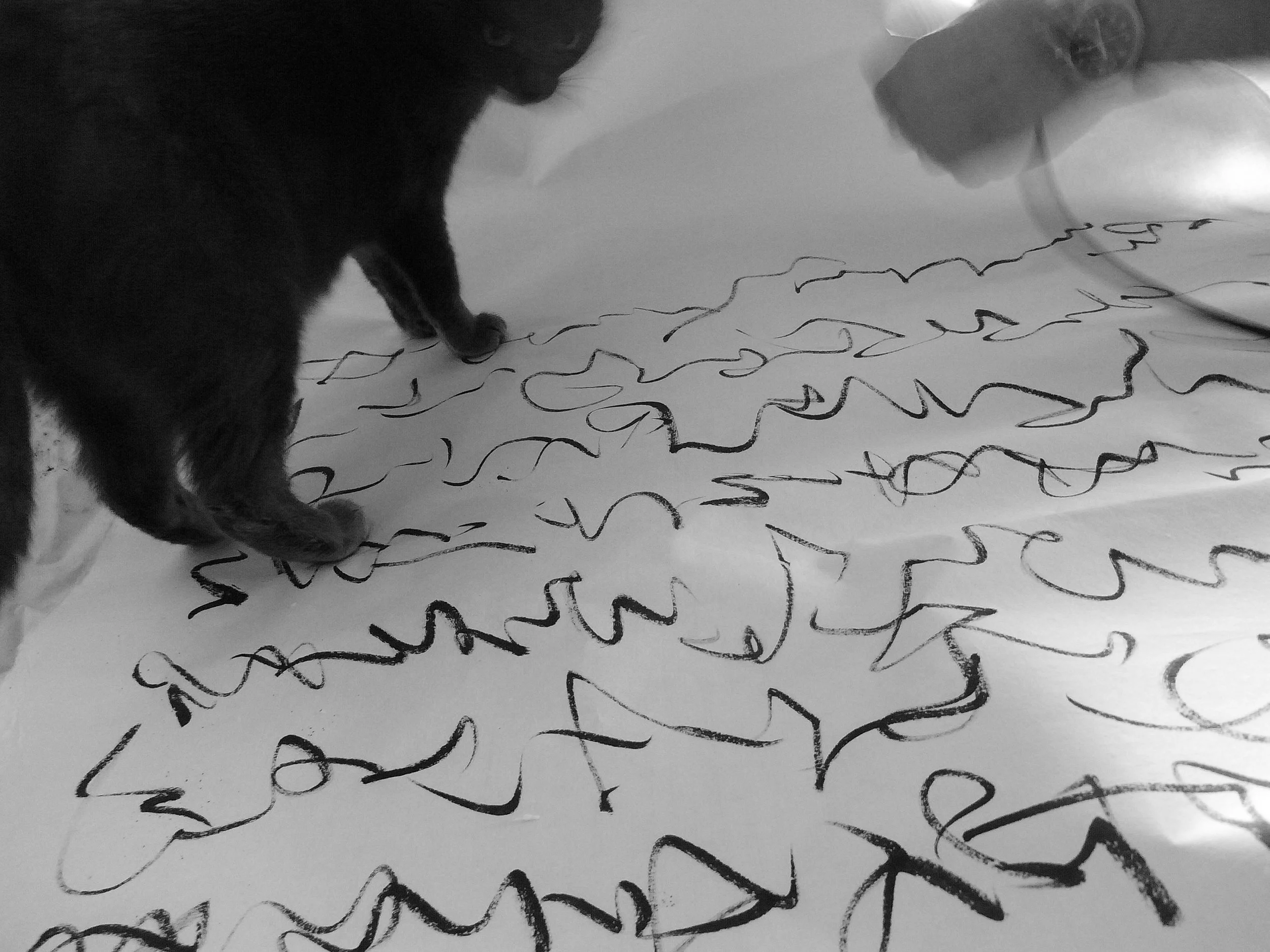 Kevin-Brown-Calligraphy-Blue-Cat-R0020196.JPG