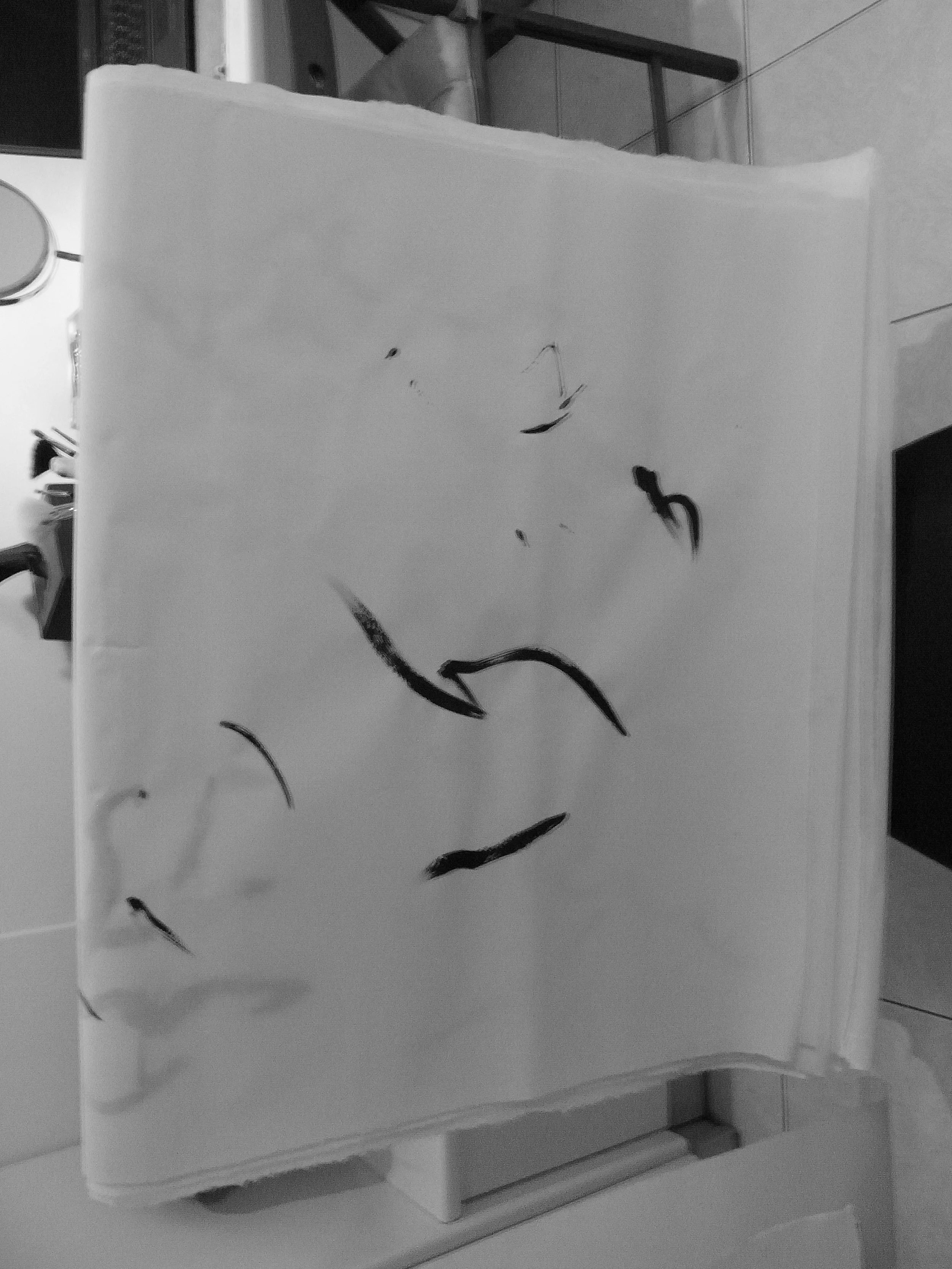 Kevin-Brown-Calligraphy-Life-Sentence-I-R0023464.JPG