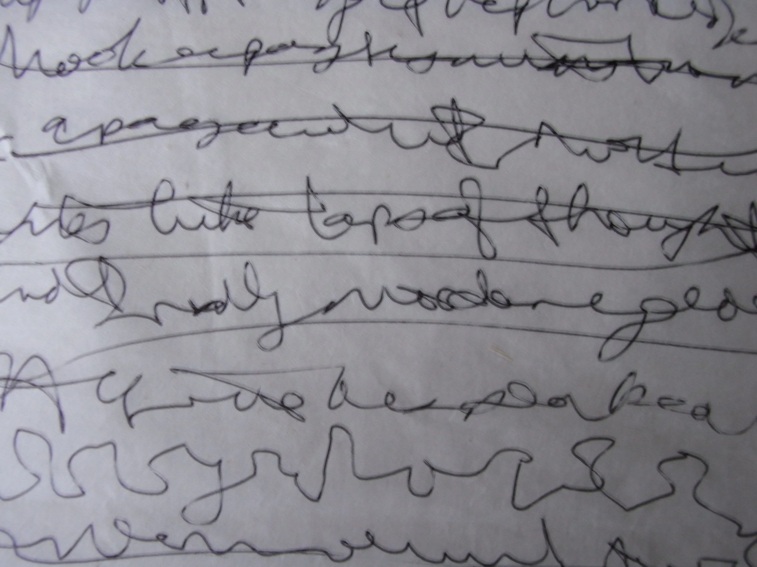 Kevin-Brown-Calligraphy-Open-letter-RIMG1150.JPG