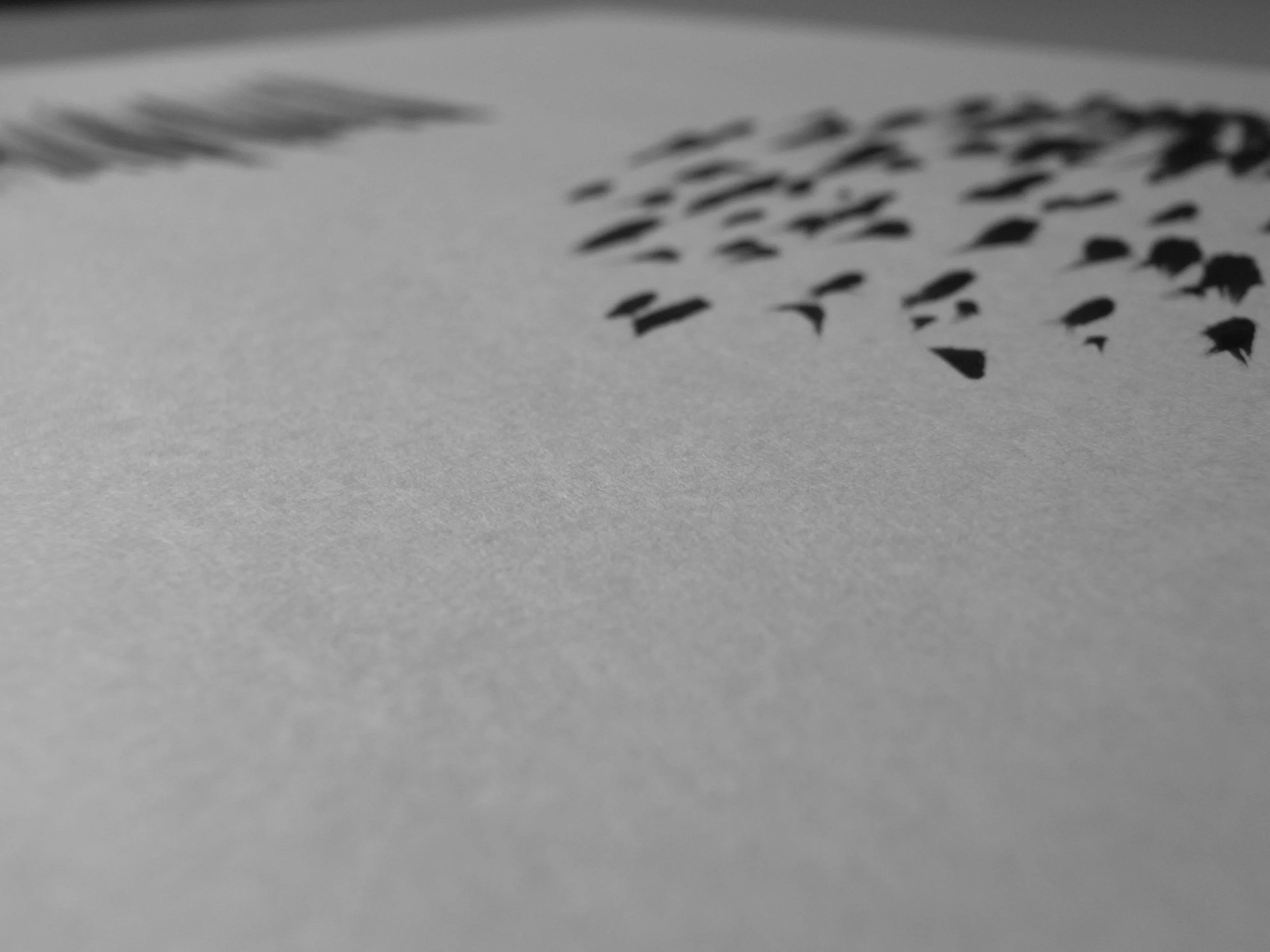 Kevin-Brown-Calligraphy-Quixotica-RIMG0606.JPG