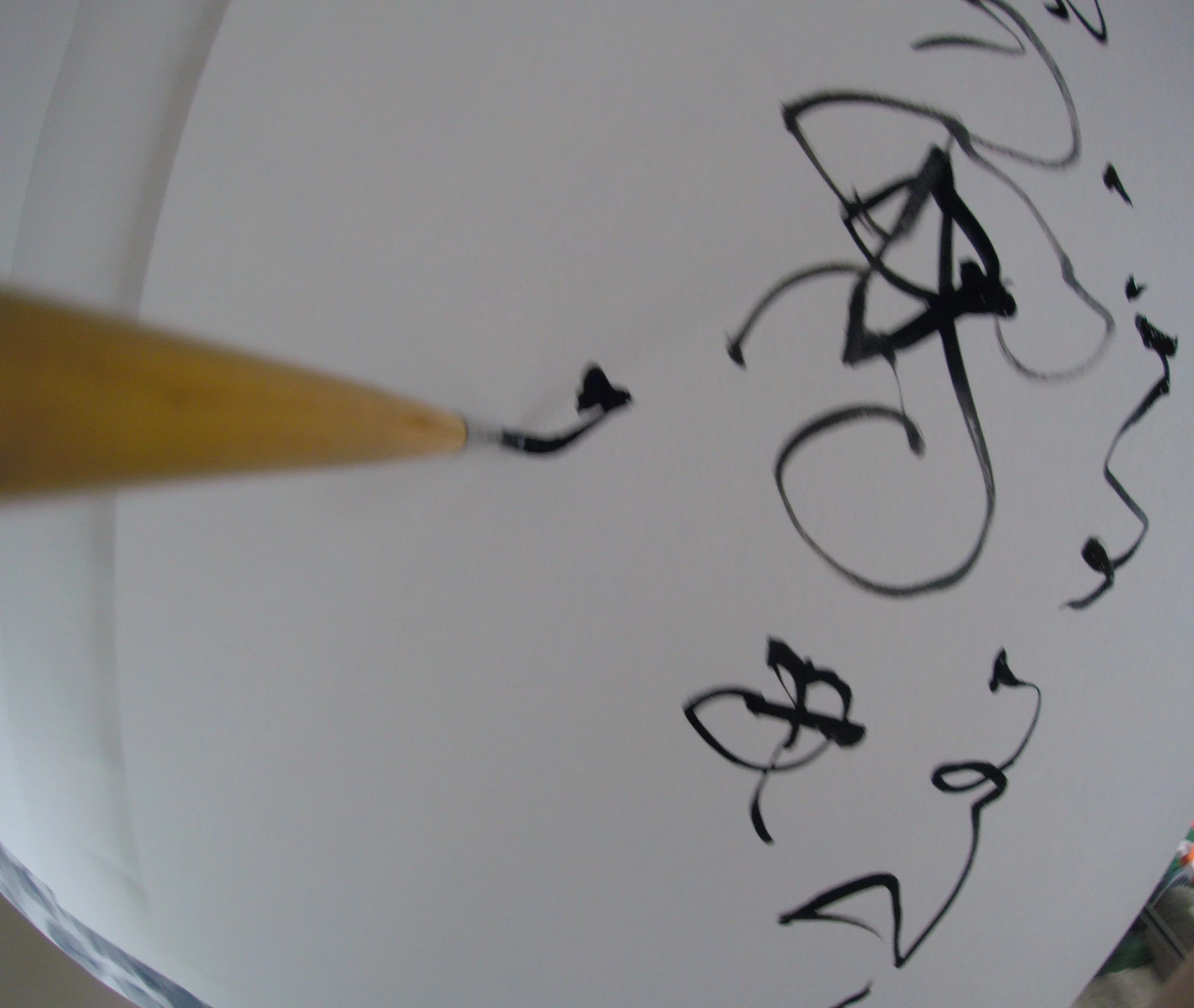 Kevin-Brown-Calligraphy-Brush-POV-G0080292.JPG