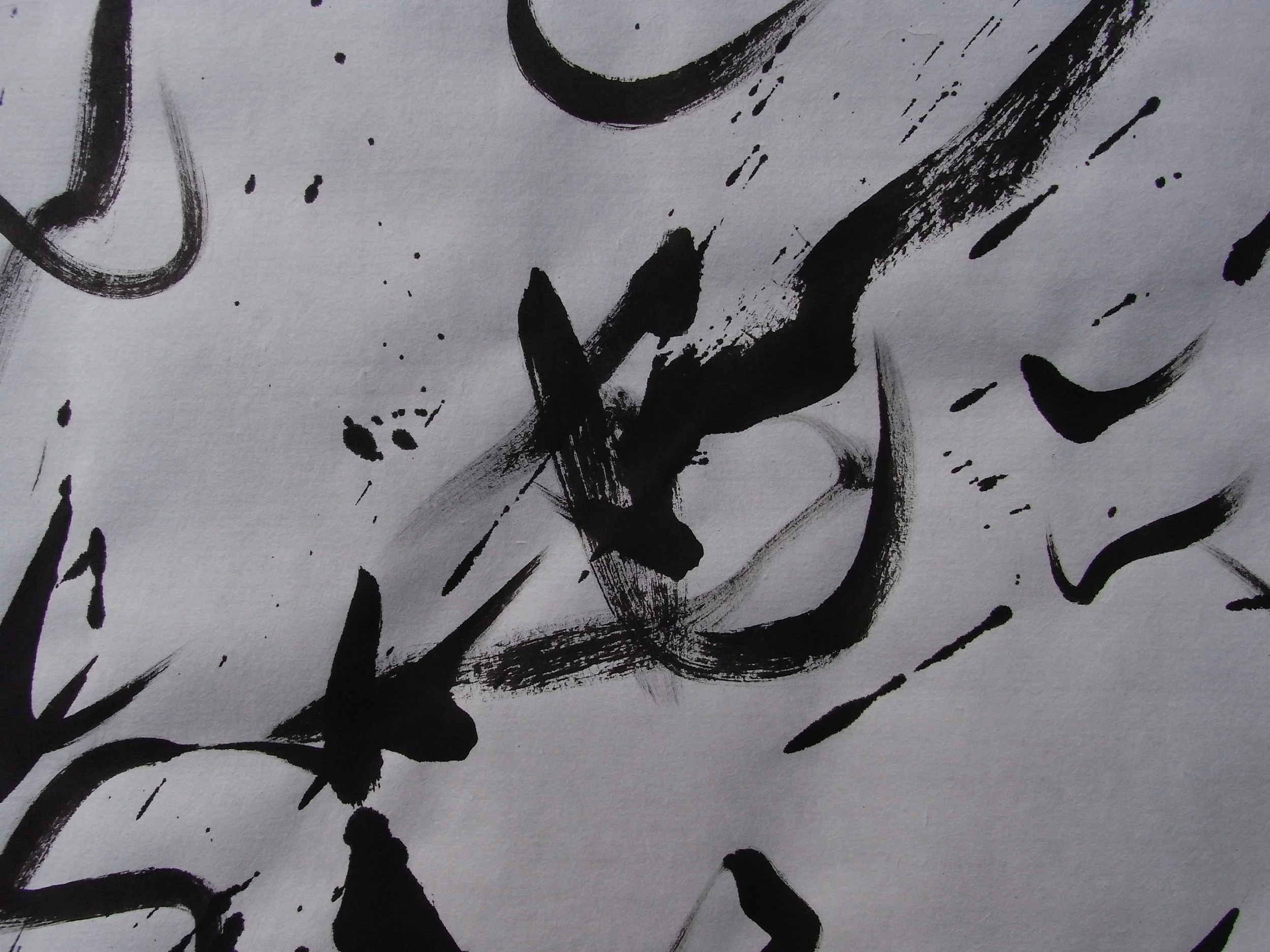 Kevin-Brown-Calligraphy-Praying-Mantis-RIMG1231.JPG