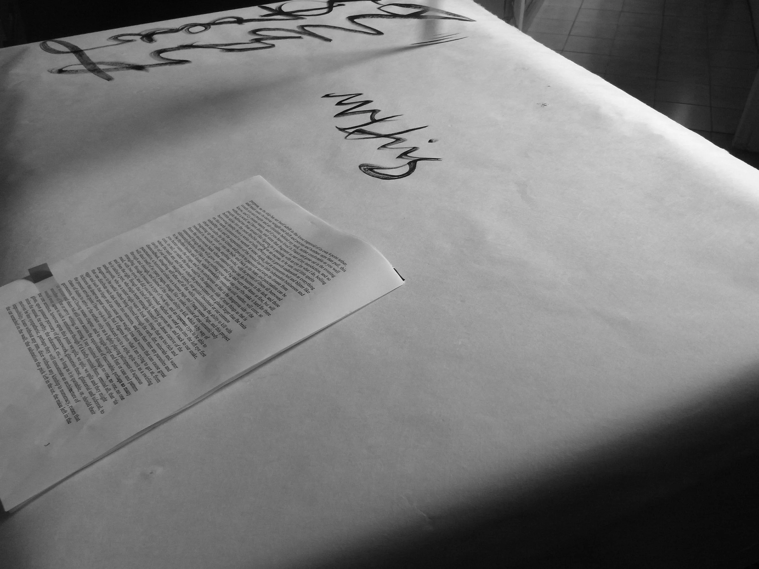 Kevin-Brown-Calligraphy-Life-Sentence-XIII-R0038081.JPG