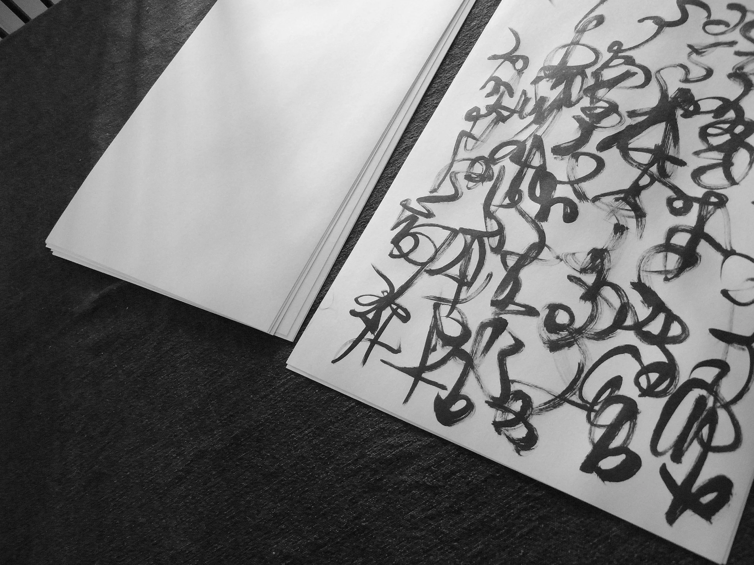 Kevin-Brown-Calligraphy-Constitution-R0019859.JPG