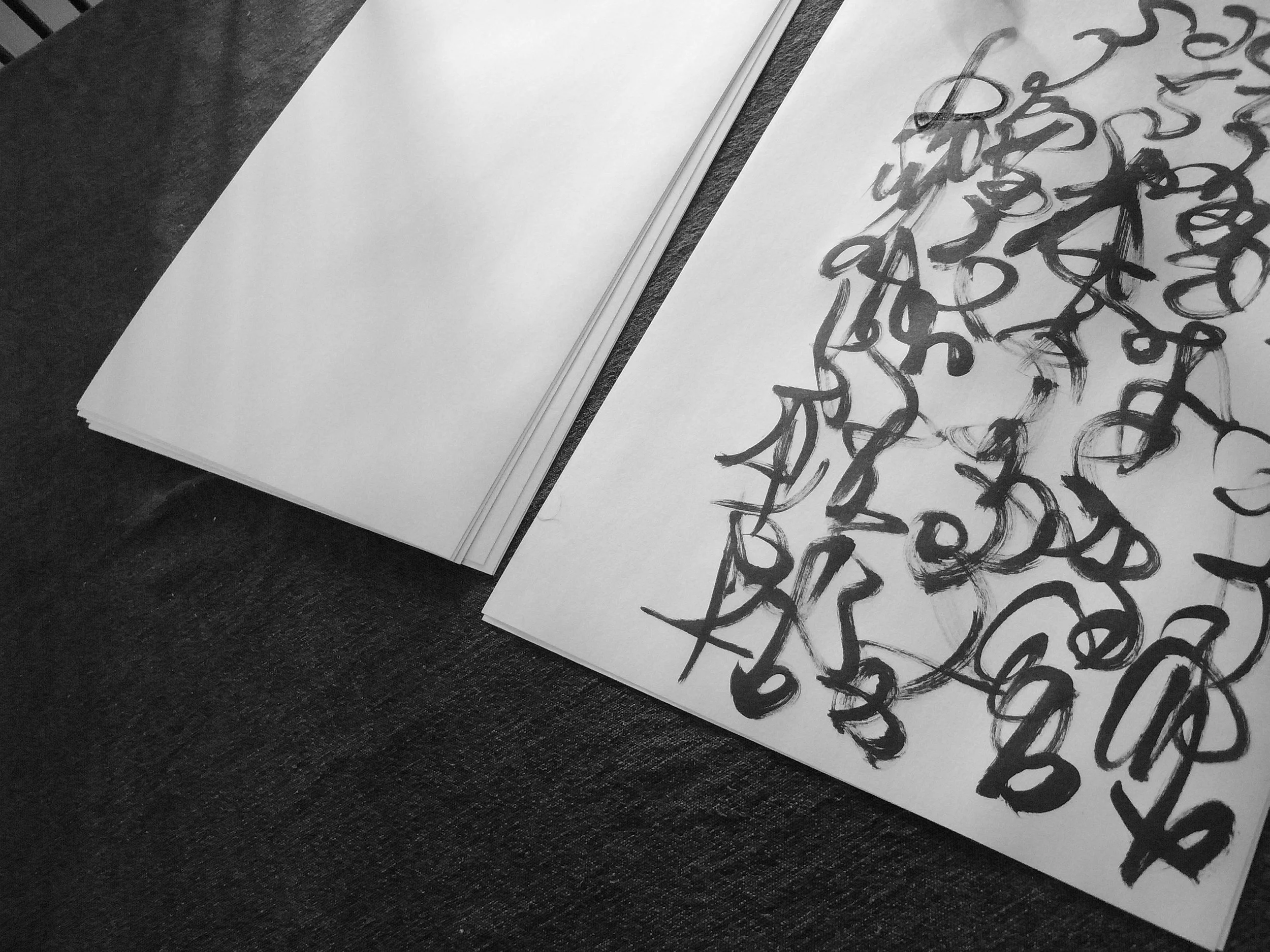 Kevin-Brown-Calligraphy-Constitution-R0019853.JPG