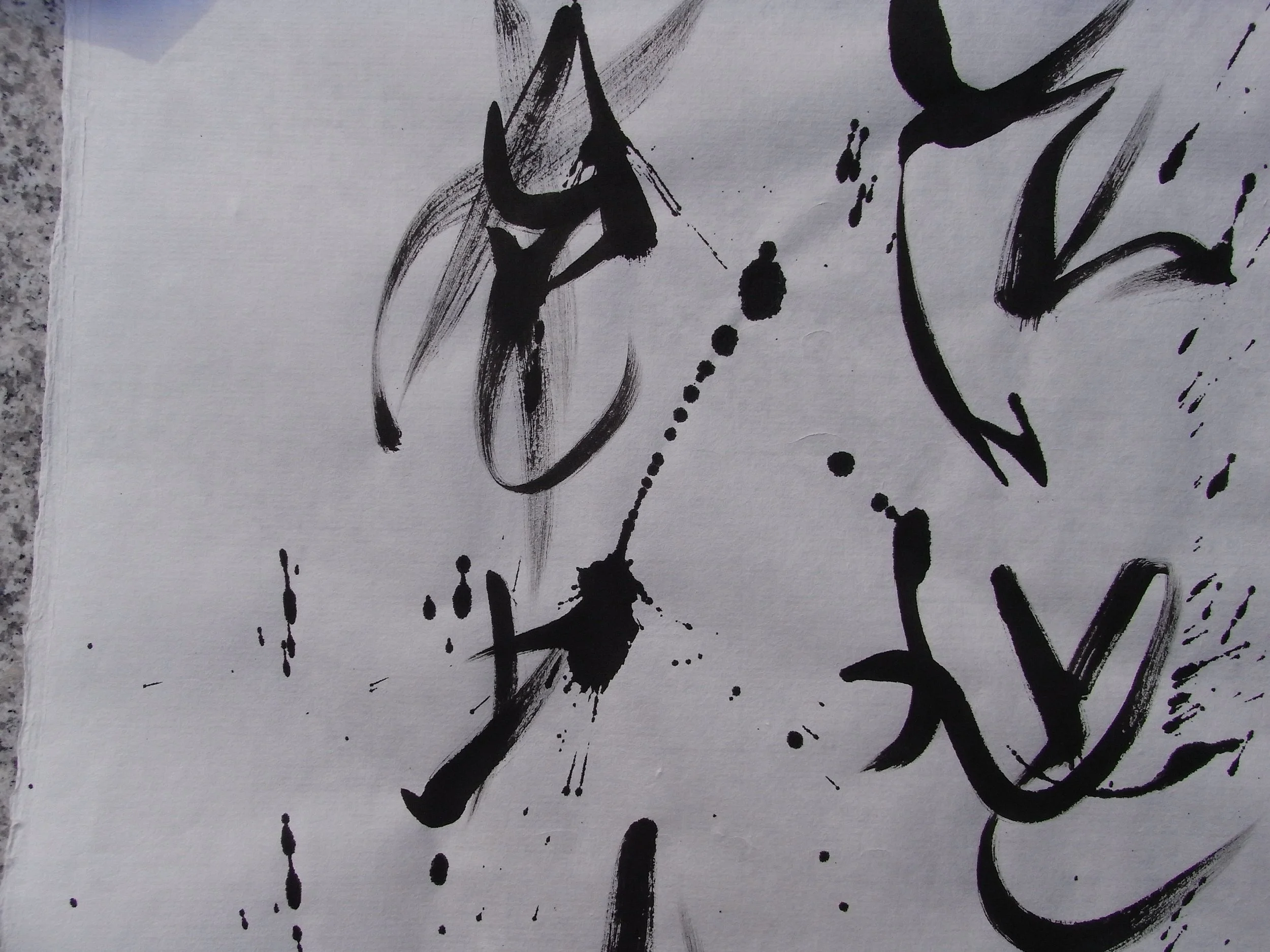 Kevin-Brown-Calligraphy-Praying-Mantis-RIMG1230.JPG