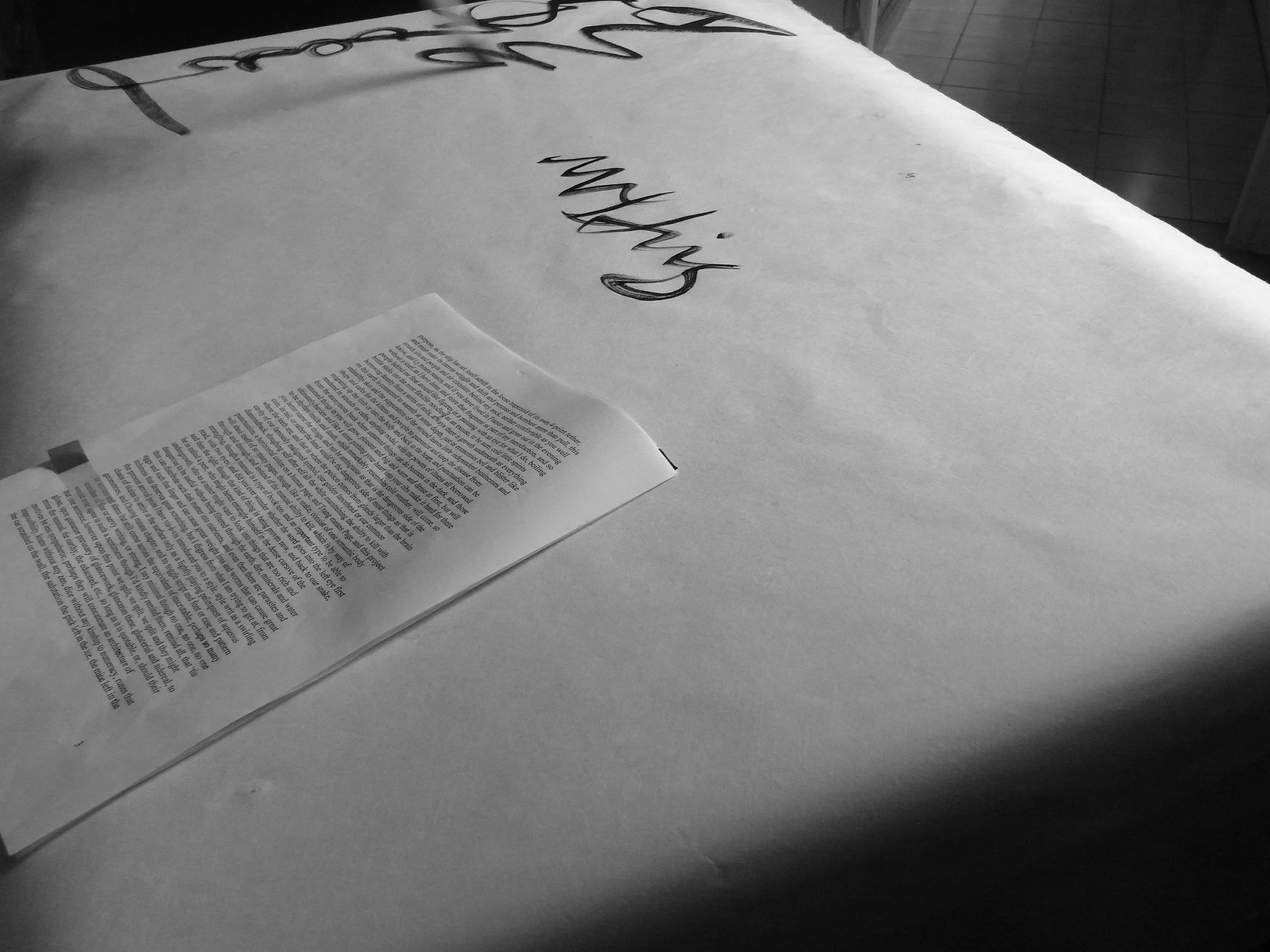 Kevin-Brown-Calligraphy-Life-Sentence-XIII-R0038078.JPG