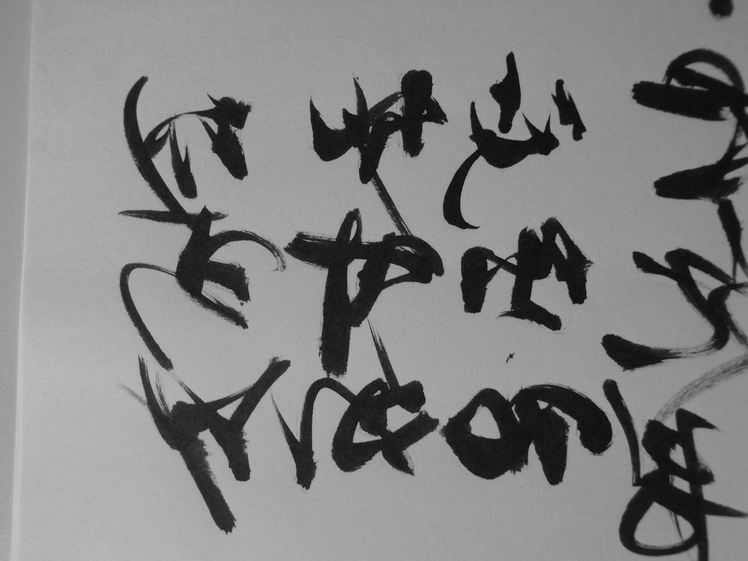 Kevin-Brown-Calligraphy-Quixotica-RIMG0612.JPG