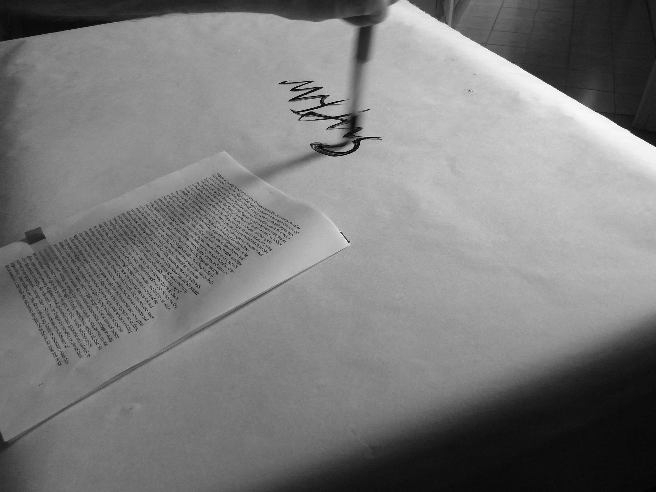 Kevin-Brown-Calligraphy-Life-Sentence-XIII-R0038063.JPG