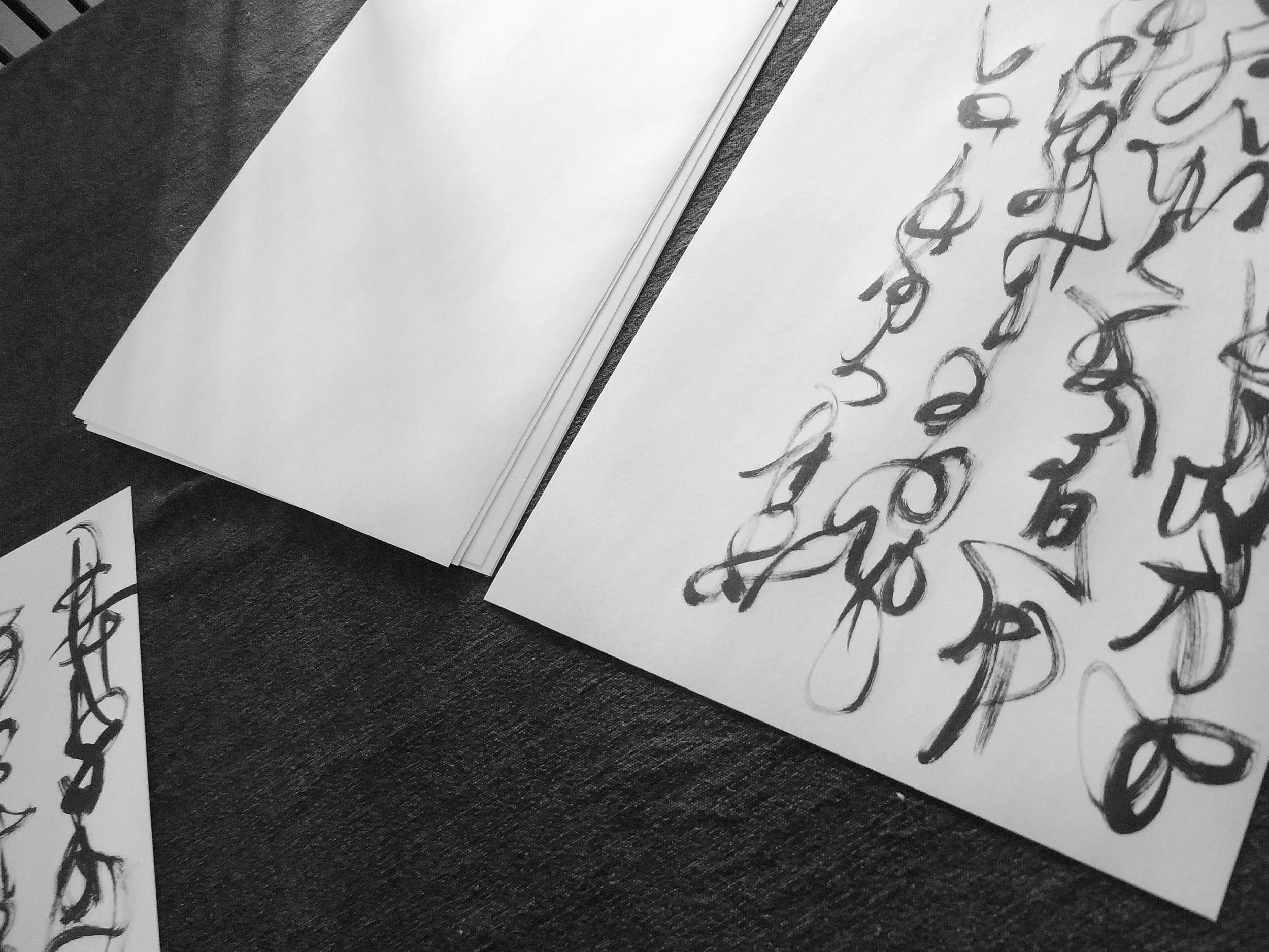 Kevin-Brown-Calligraphy-Constitution-R0019928.JPG
