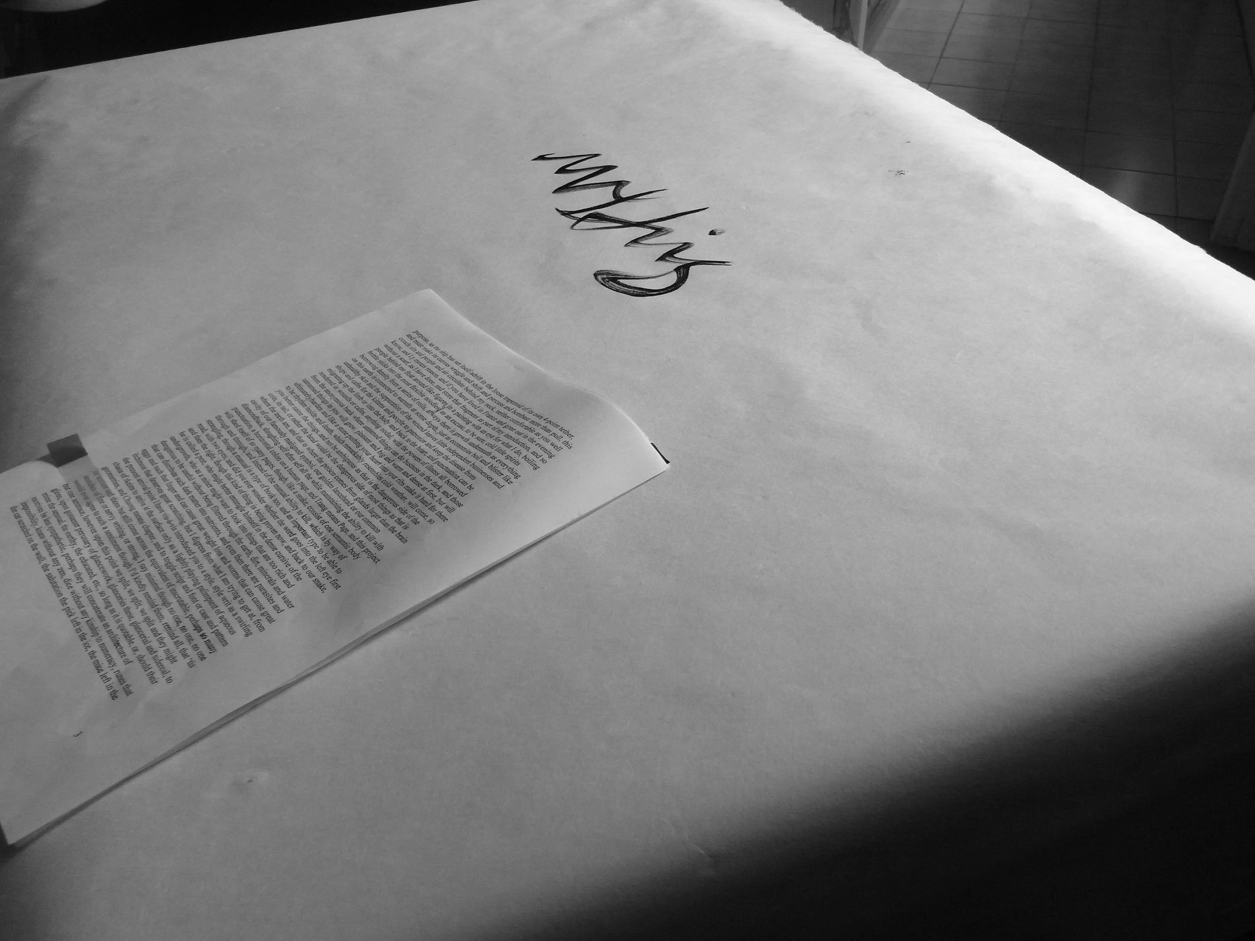 Kevin-Brown-Calligraphy-Life-Sentence-XIII-R0038066.JPG