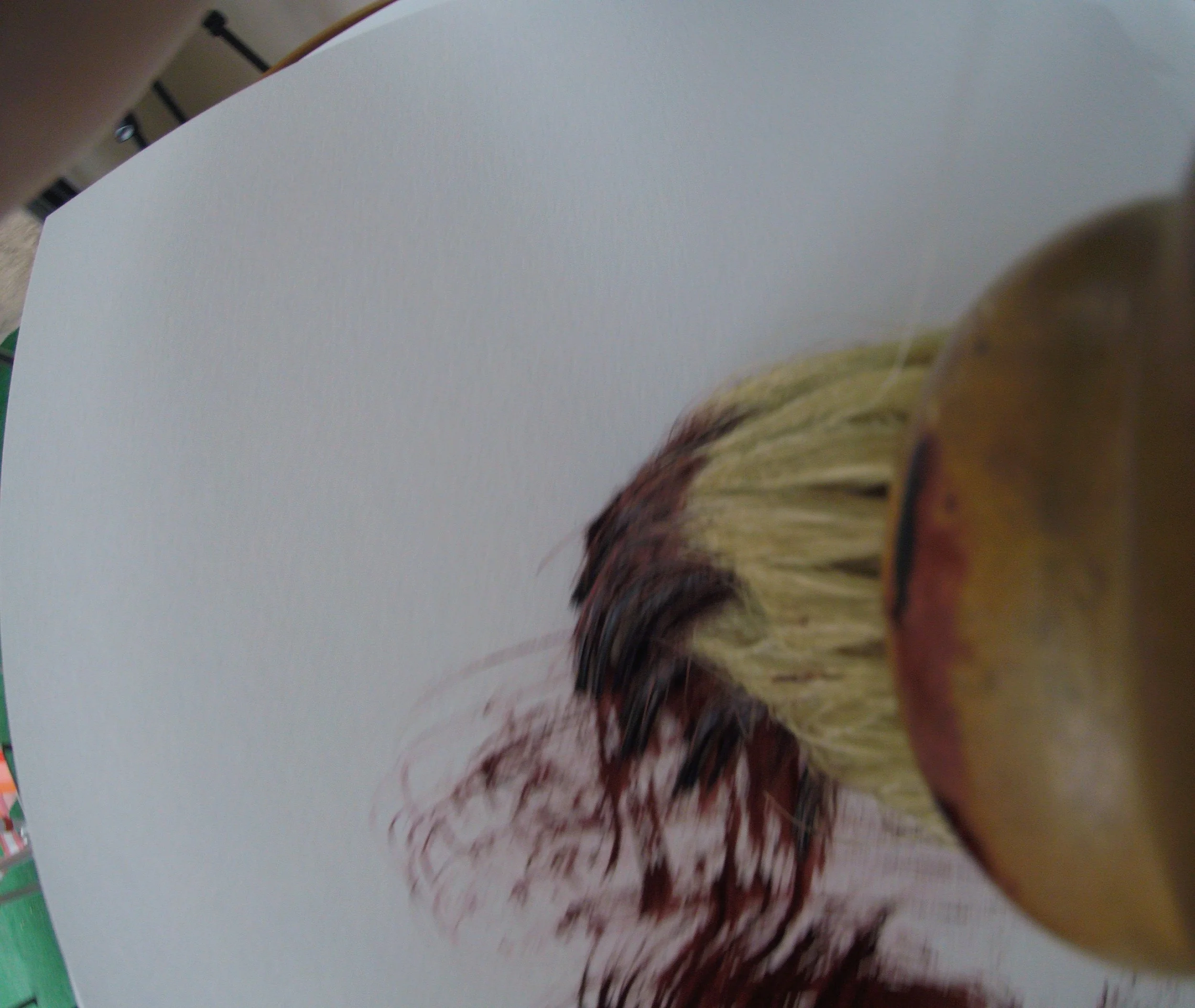 Kevin-Brown-Calligraphy-Brush-POV-G0050239.JPG