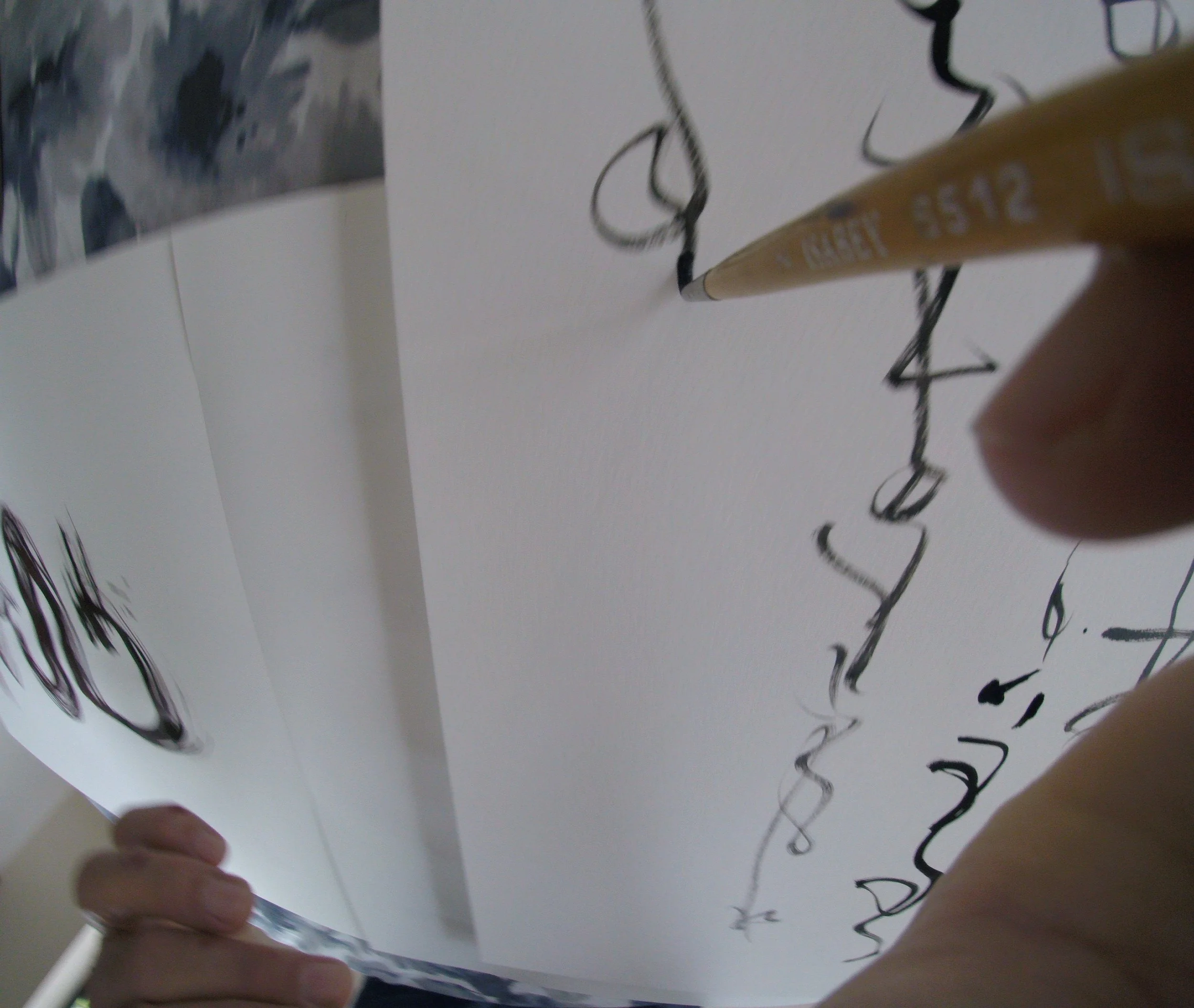 Kevin-Brown-Calligraphy-Brush-POV-G0070279.JPG