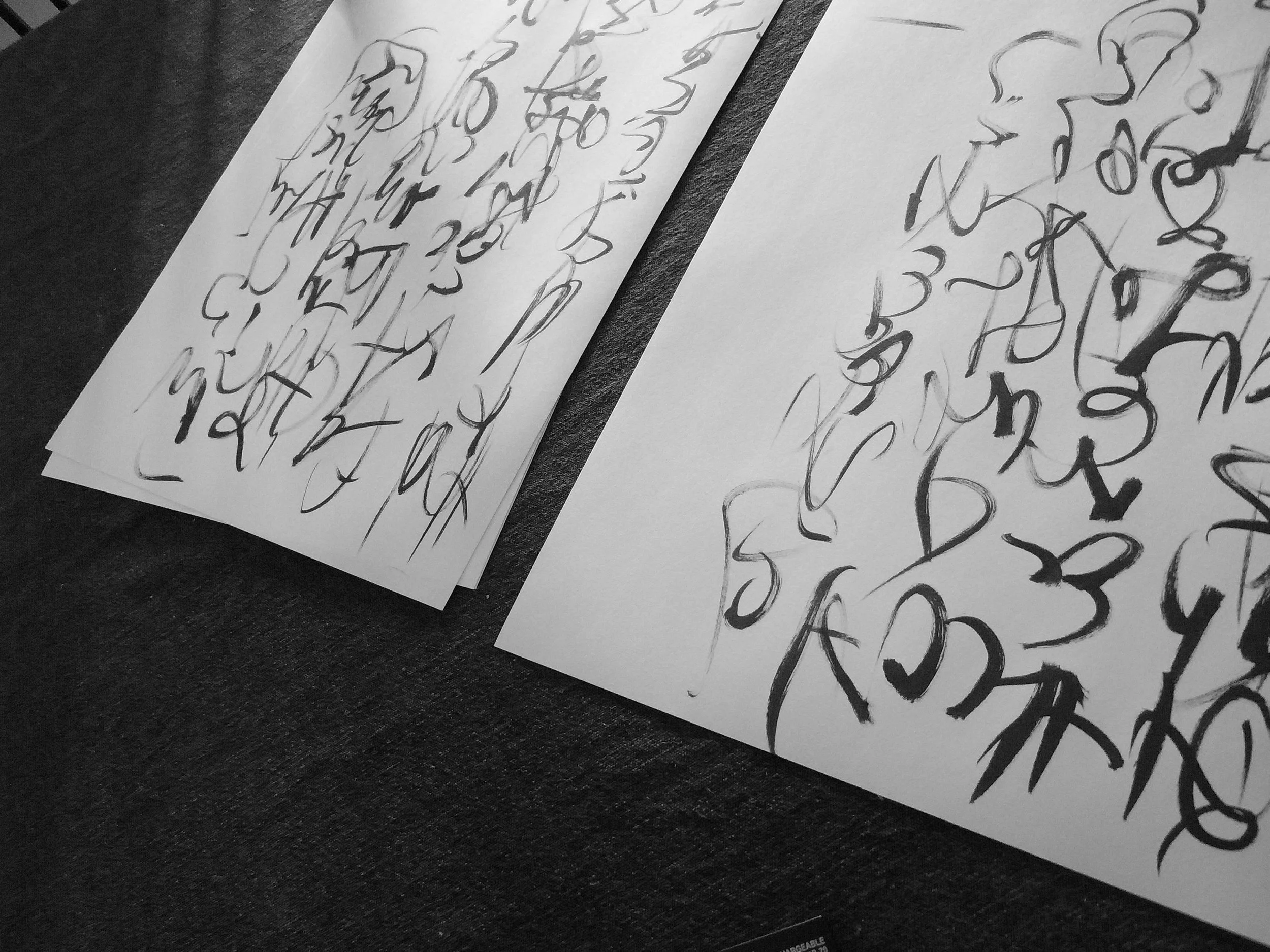Kevin-Brown-Calligraphy-Constitution-R0020019.JPG