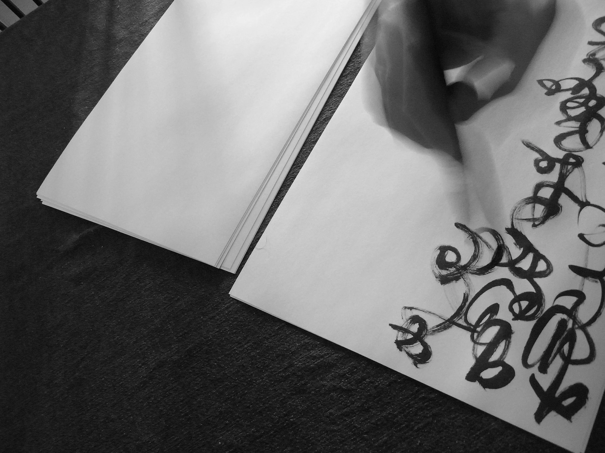 Kevin-Brown-Calligraphy-Constitution-R0019835.JPG