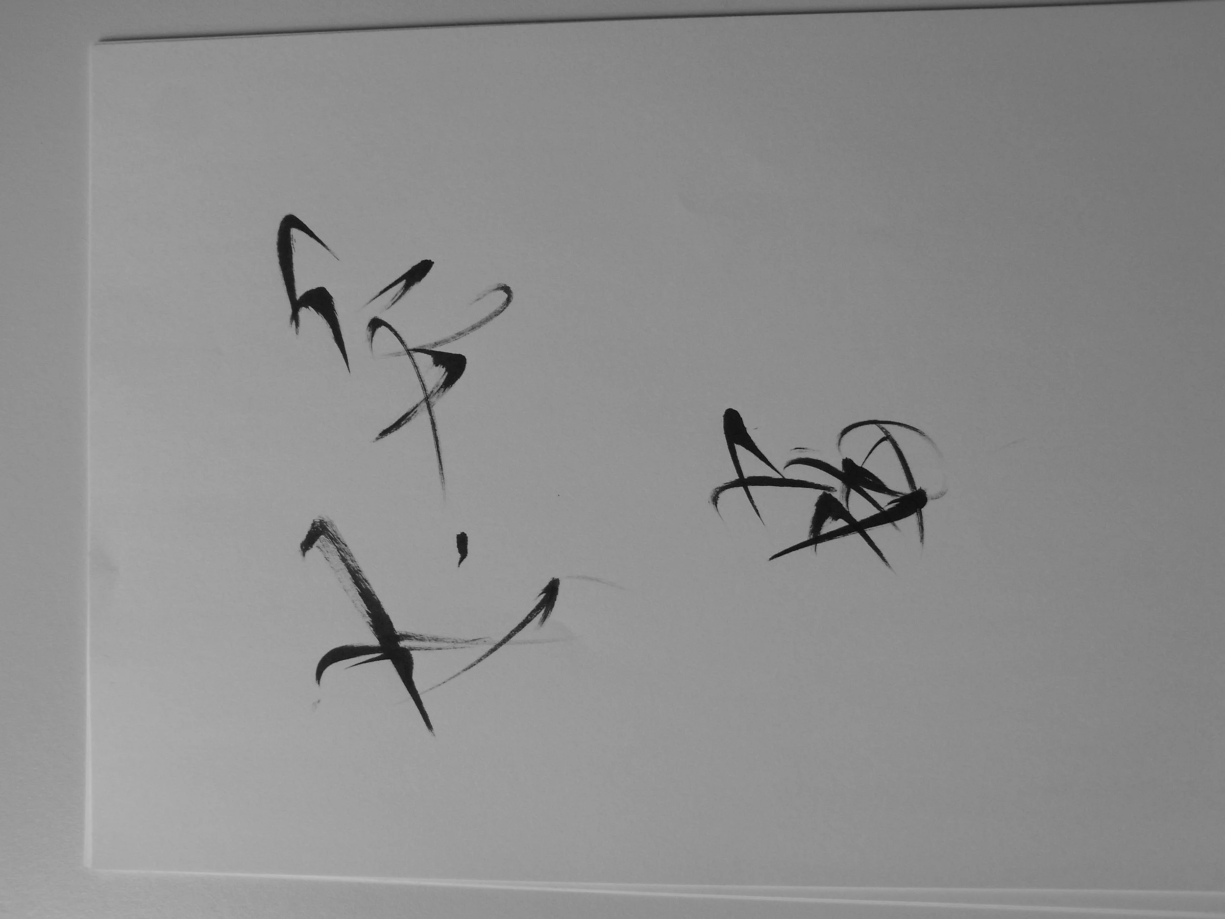 Kevin-Brown-Calligraphy-Quixotica-RIMG0602.JPG