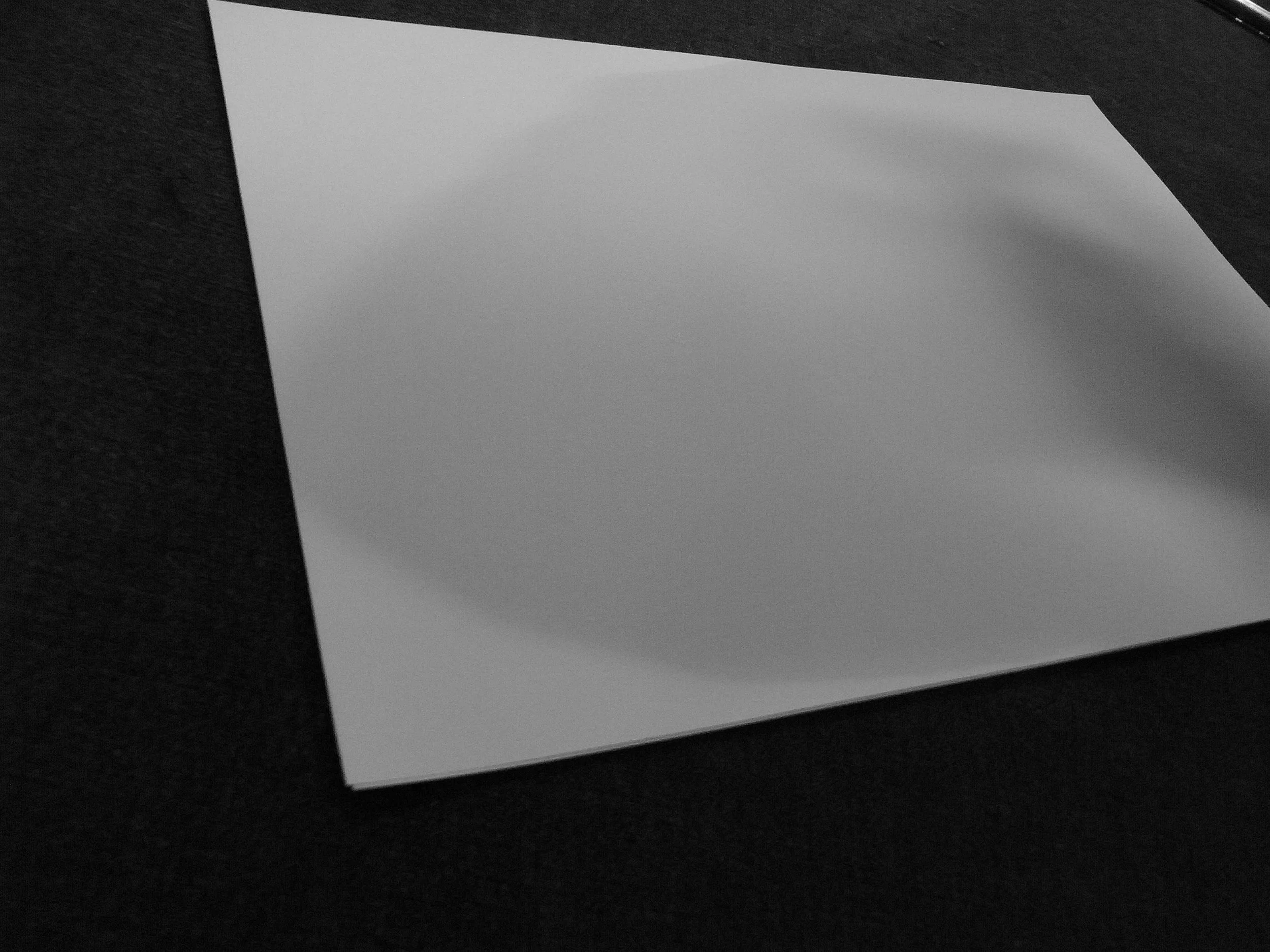 Kevin-Brown-Calligraphy-Loose-leaf-R0021070.JPG