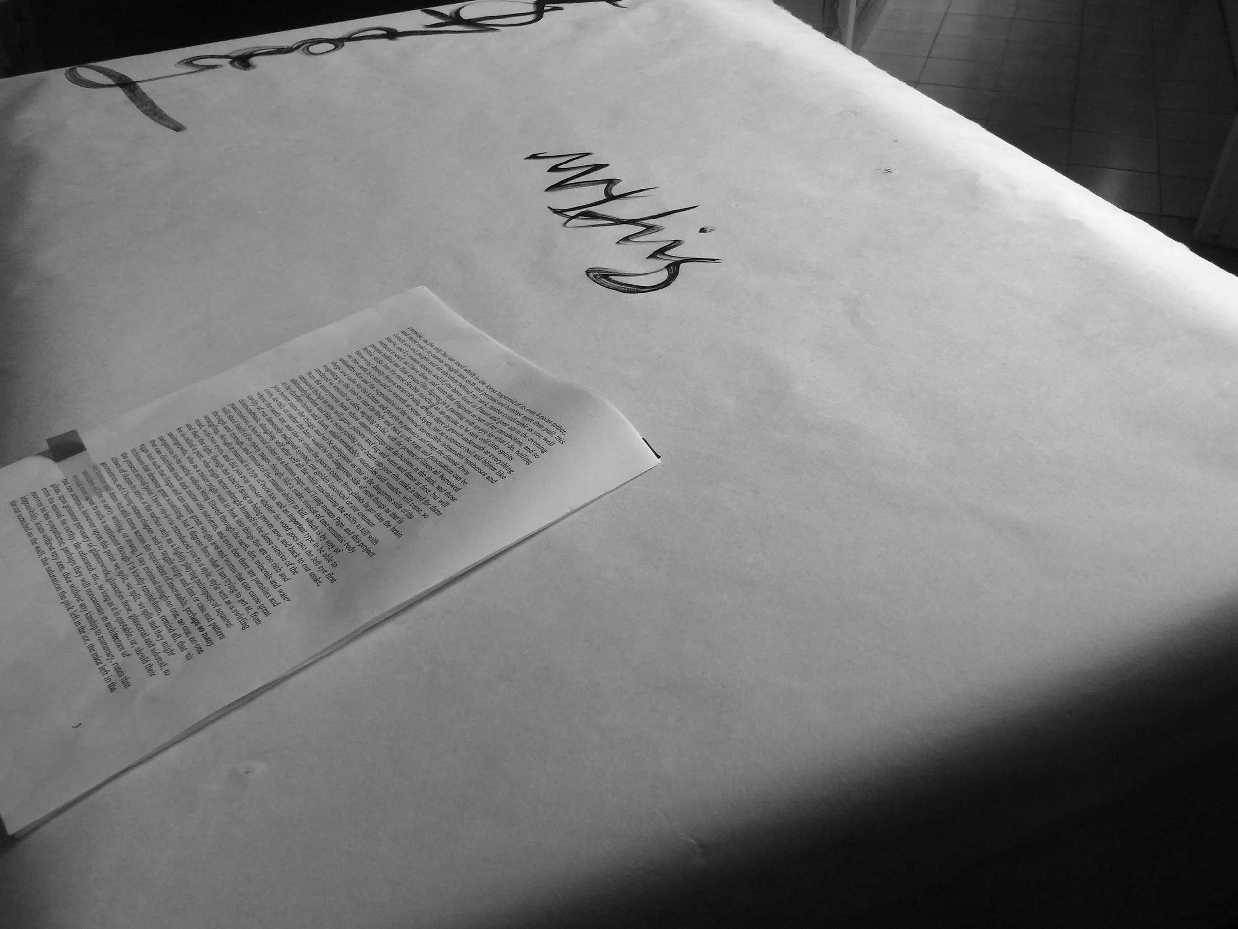 Kevin-Brown-Calligraphy-Life-Sentence-XIII-R0038075.JPG