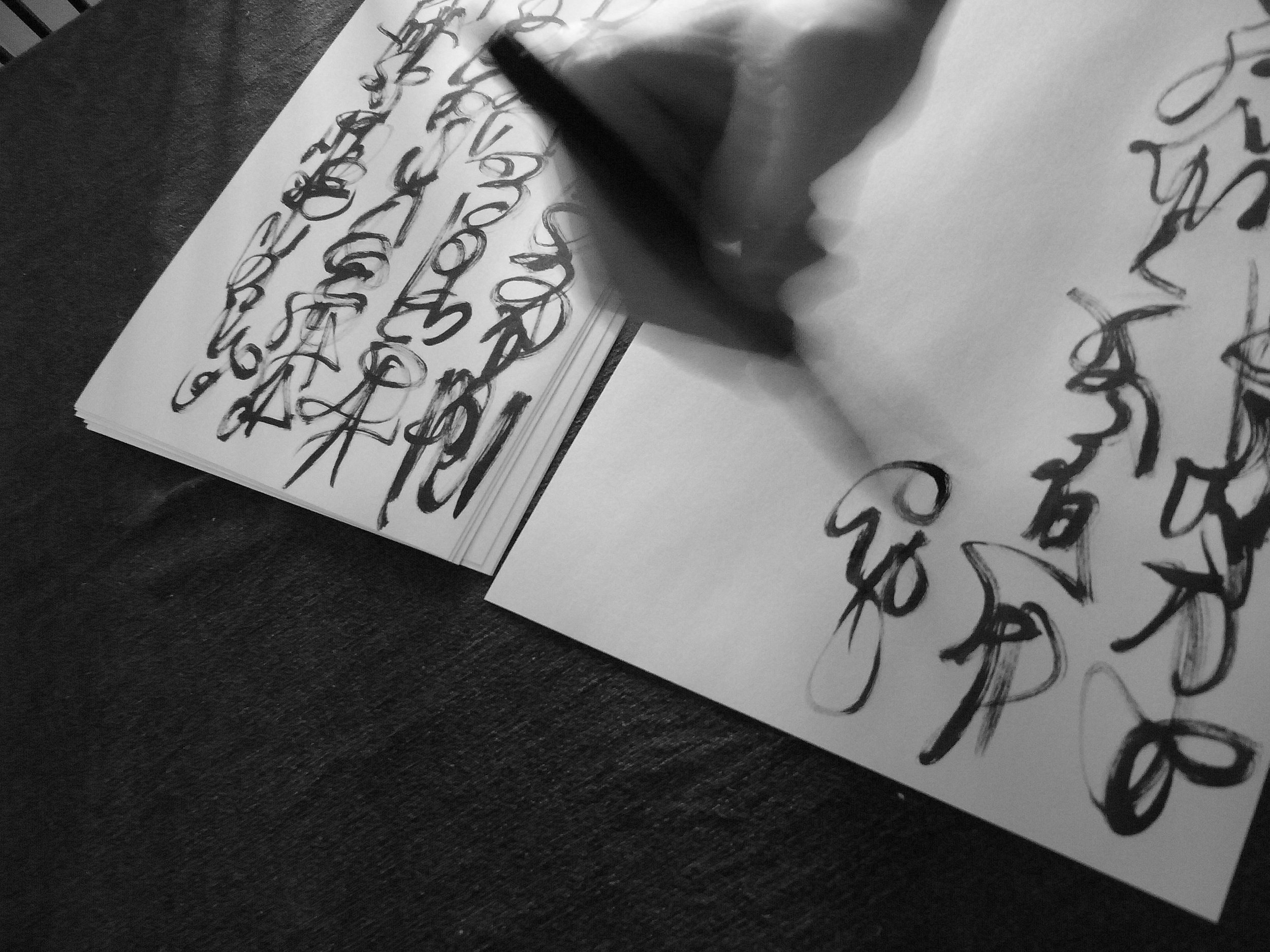 Kevin-Brown-Calligraphy-Constitution-R0019913.JPG