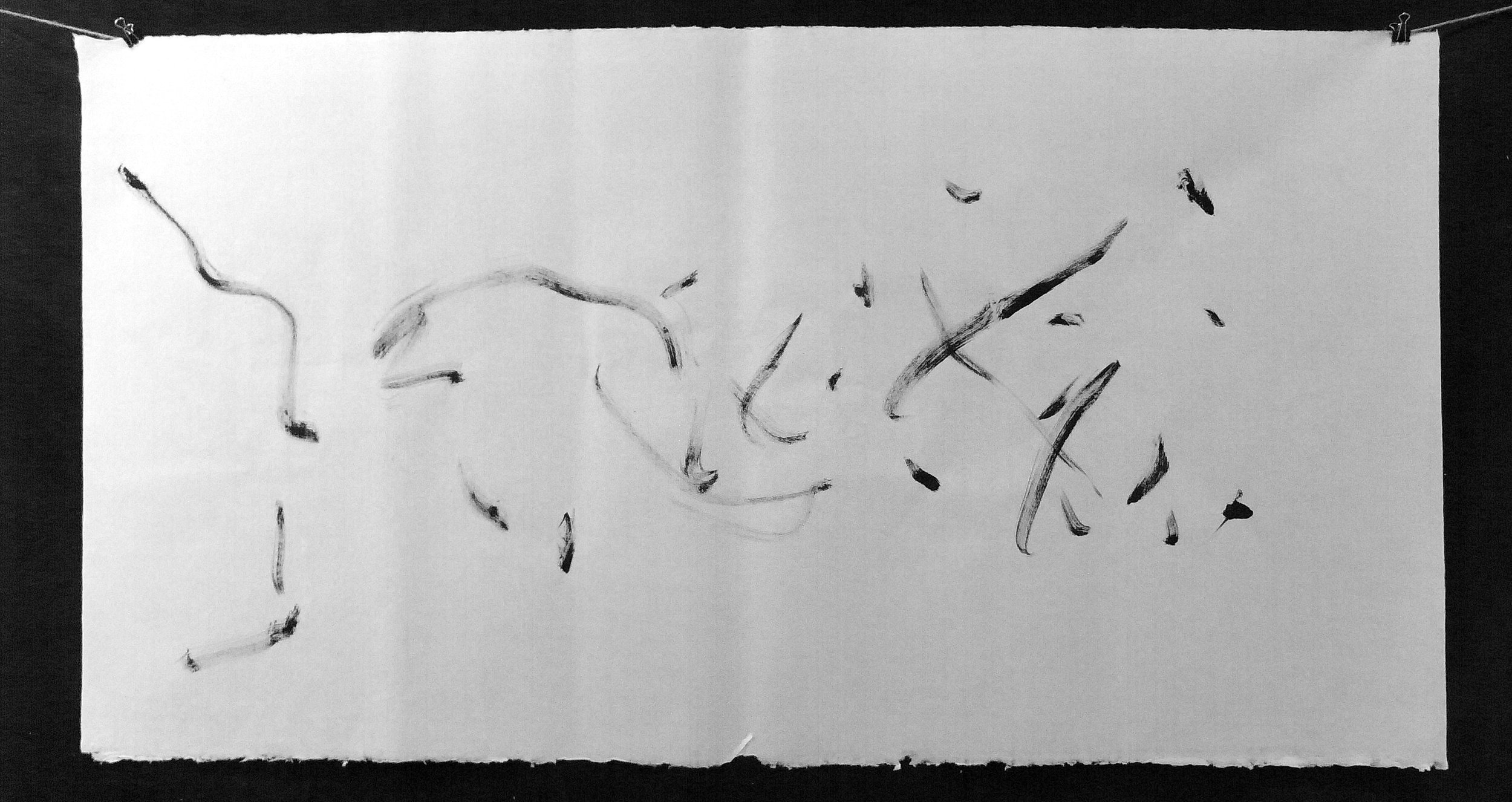 Kevin-Brown-Calligraphy-Life-Sentence-Cropped-II-R0027725ad.JPG