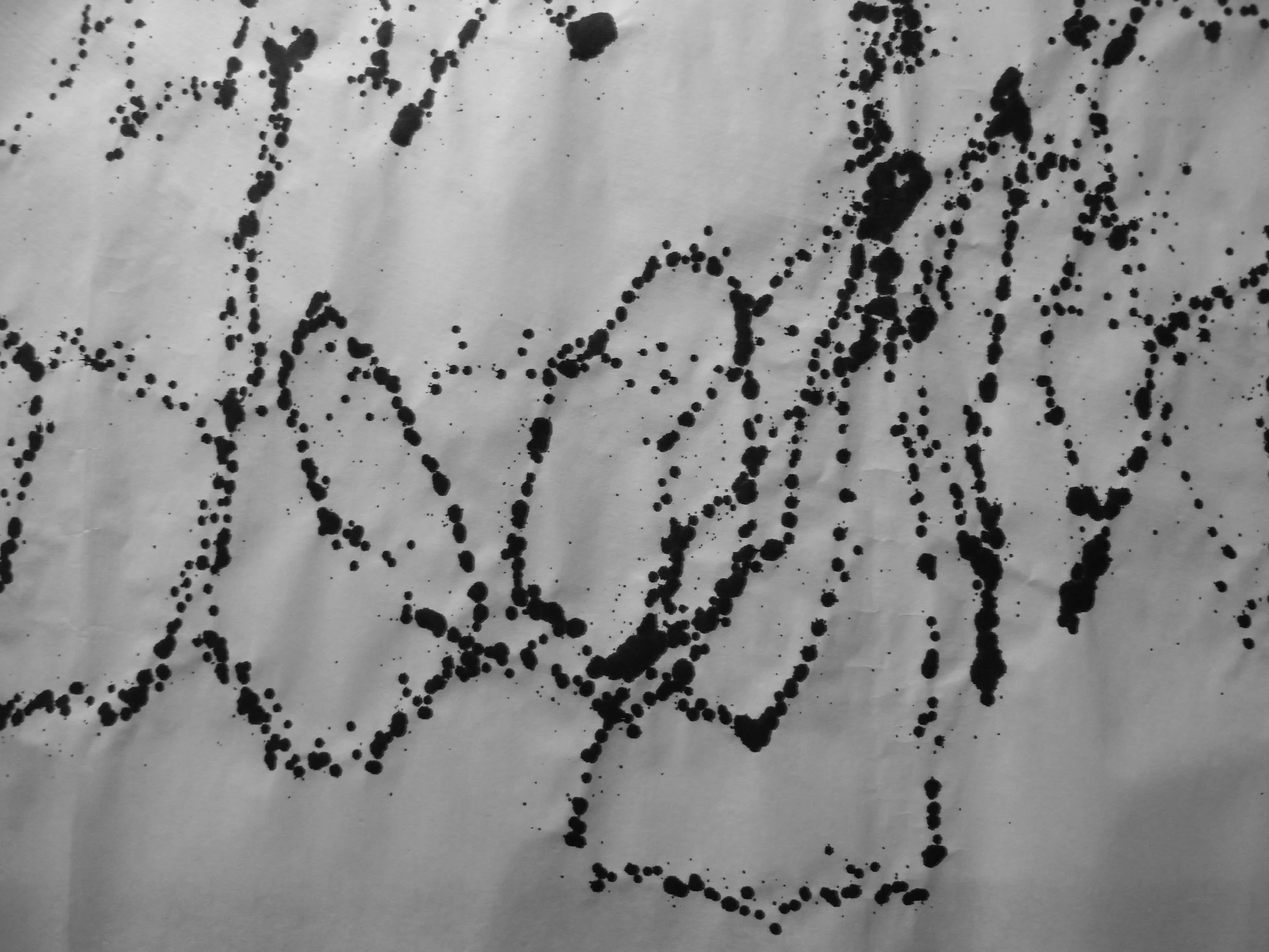 Kevin-Brown-Calligraphy-Monochrome-RIMG0670.JPG