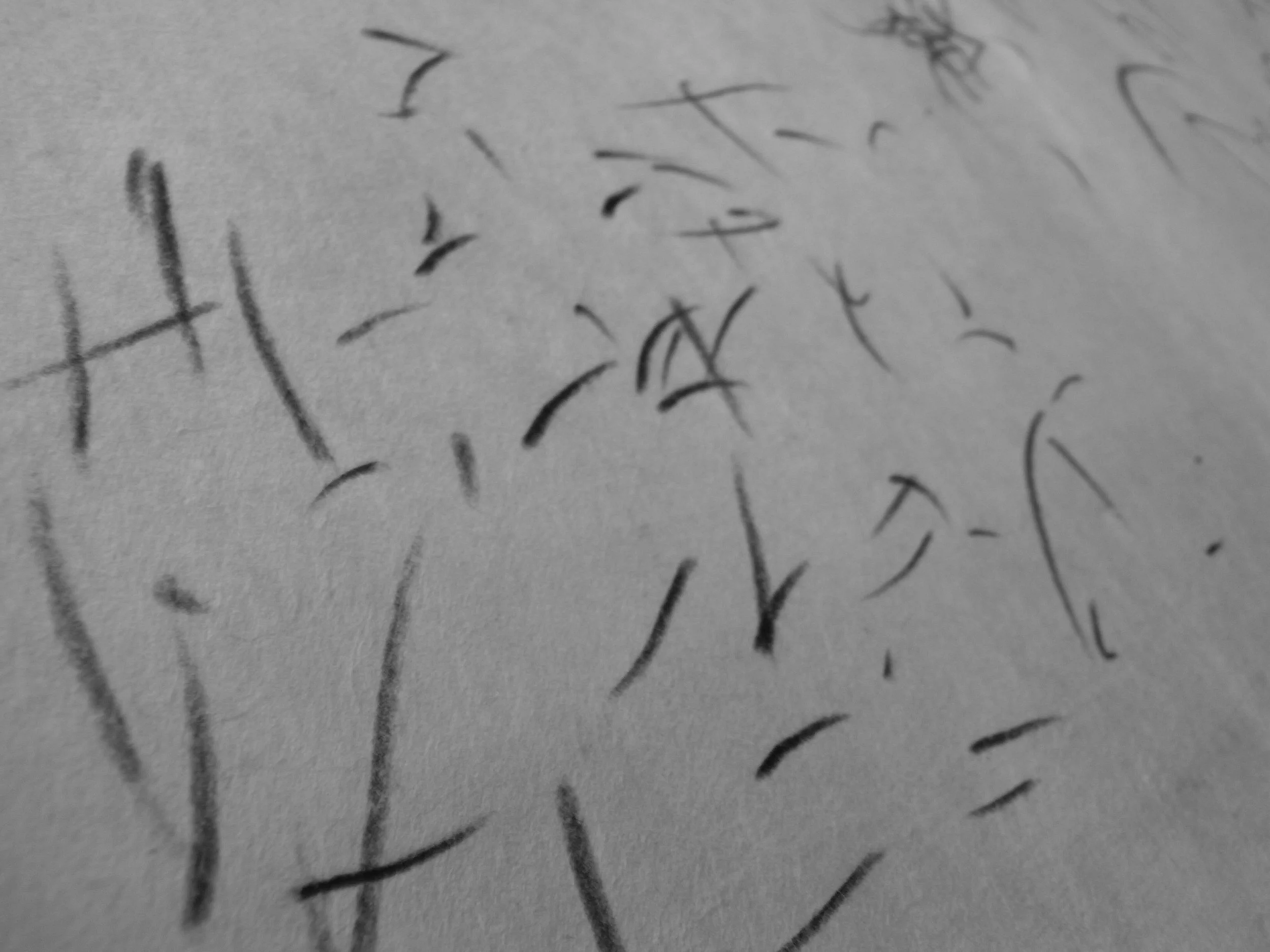 Kevin-Brown-Calligraphy-Thoughtprints-RIMG0469.JPG