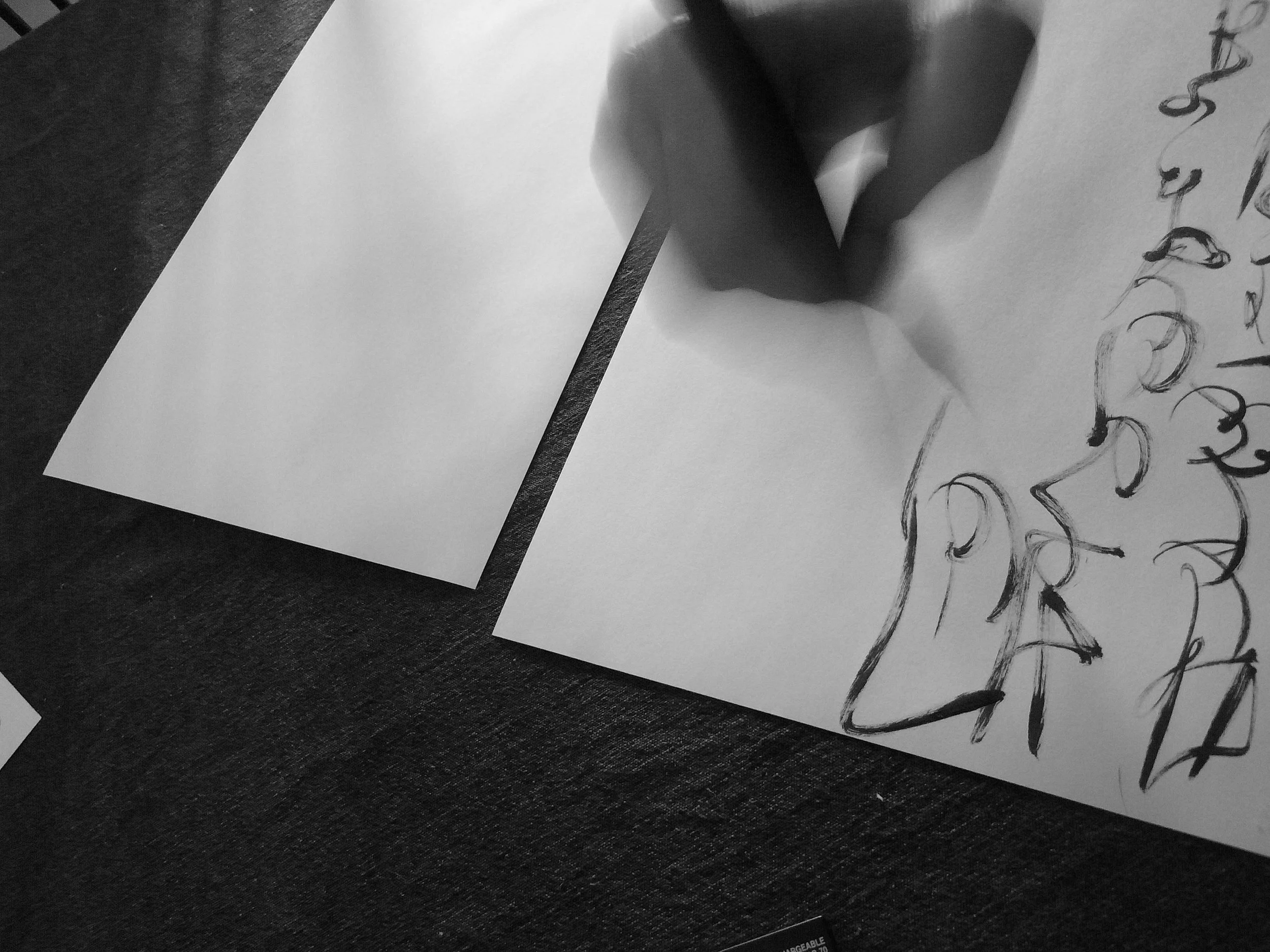 Kevin-Brown-Calligraphy-Constitution-R0020043.JPG