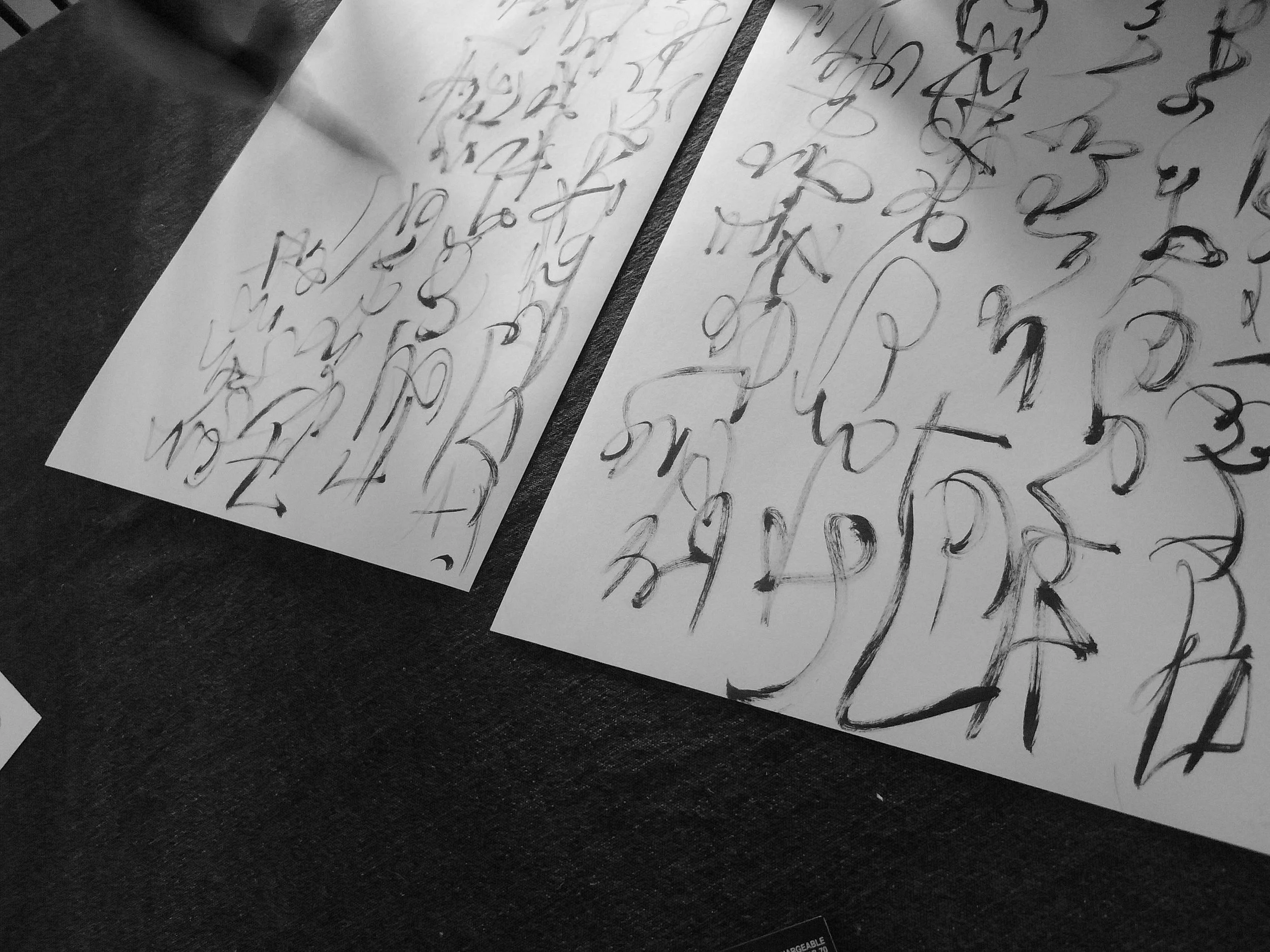 Kevin-Brown-Calligraphy-Constitution-R0020097.JPG