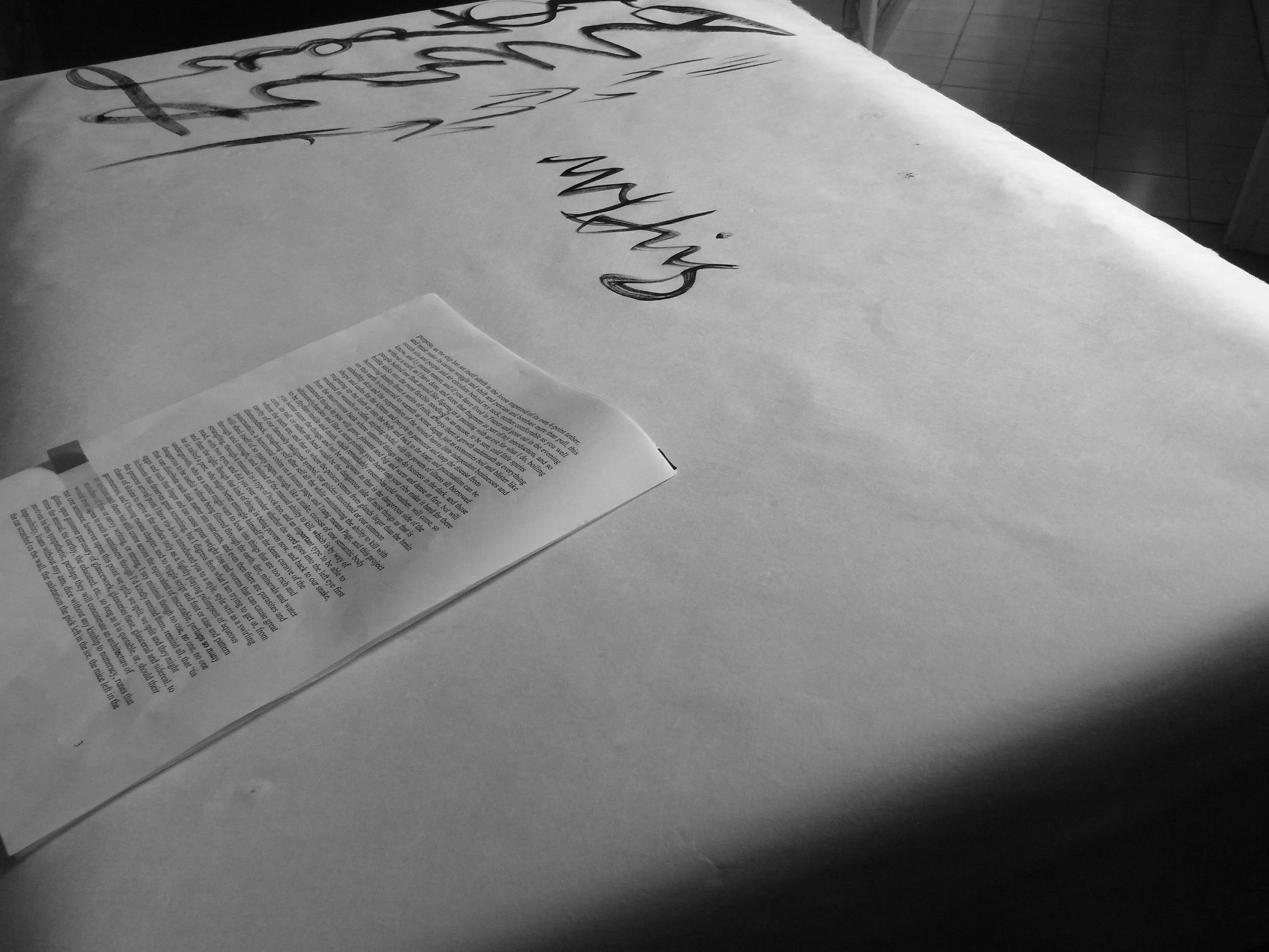 Kevin-Brown-Calligraphy-Life-Sentence-XIII-R0038084.JPG