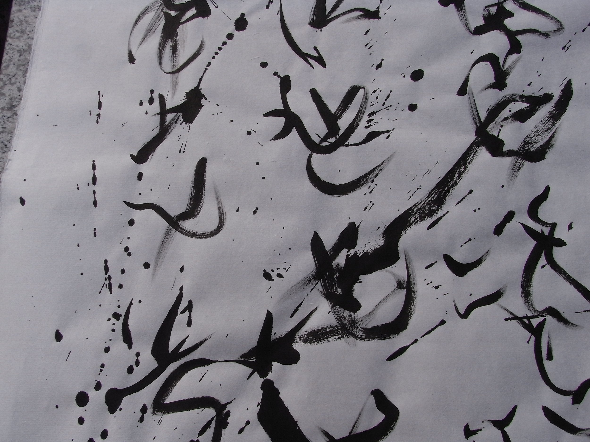 Kevin-Brown-Calligraphy-Praying-Mantis-RIMG1223.JPG