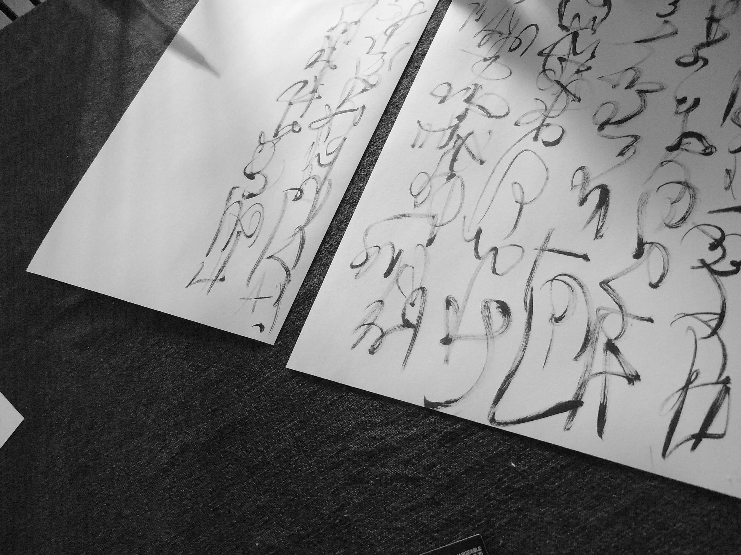 Kevin-Brown-Calligraphy-Constitution-R0020079.JPG