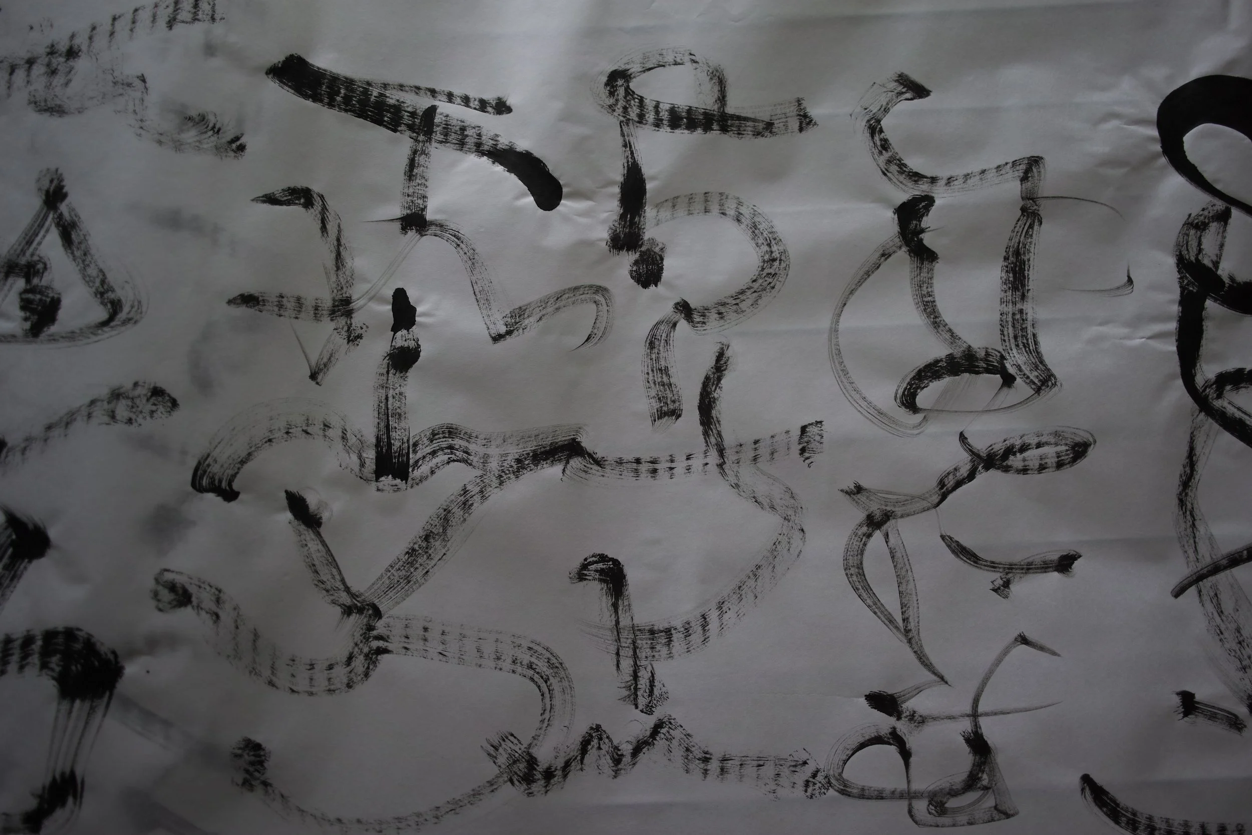 Kevin-Brown-Calligraphy-Sroll-DP1M2303.JPG