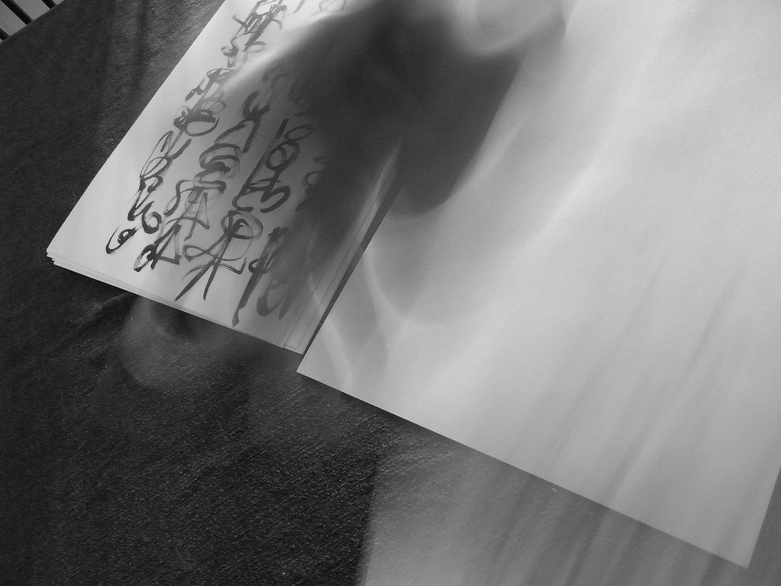 Kevin-Brown-Calligraphy-Constitution-R0019901.JPG