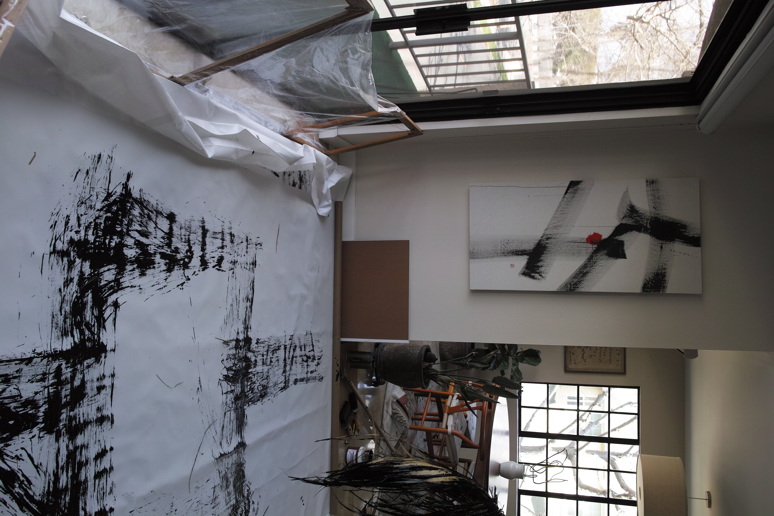 Kevin-Brown-Calligraphy-Flight-Patterns-II-DP1M4805.JPG