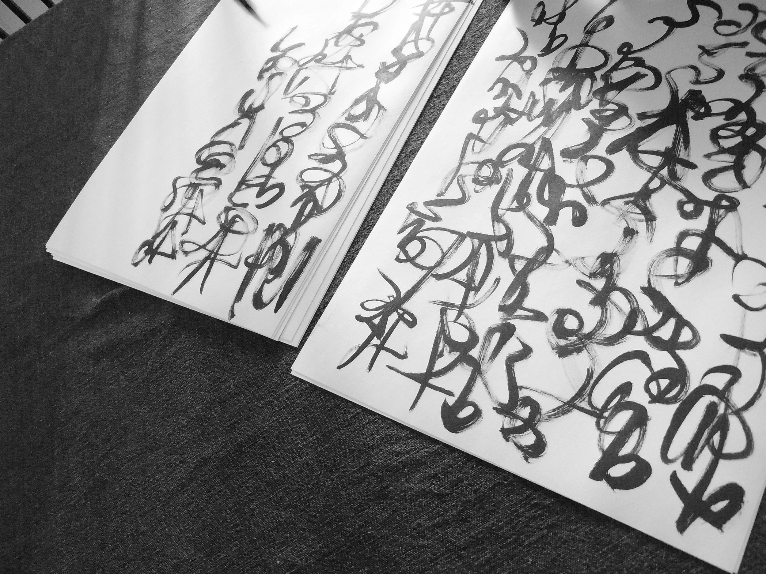 Kevin-Brown-Calligraphy-Constitution-R0019883.JPG