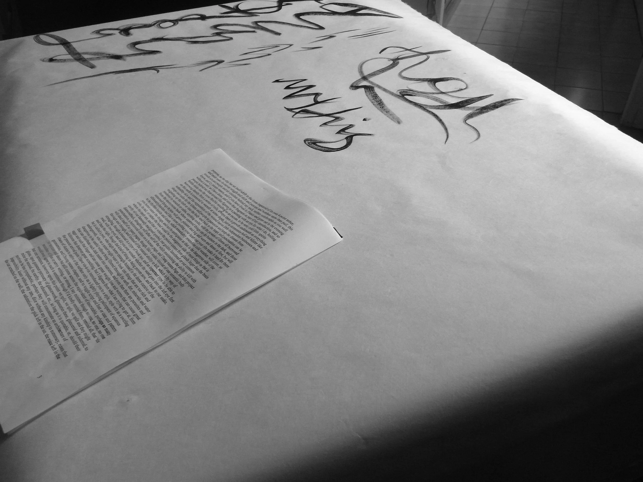 Kevin-Brown-Calligraphy-Life-Sentence-XIII-R0038090.JPG
