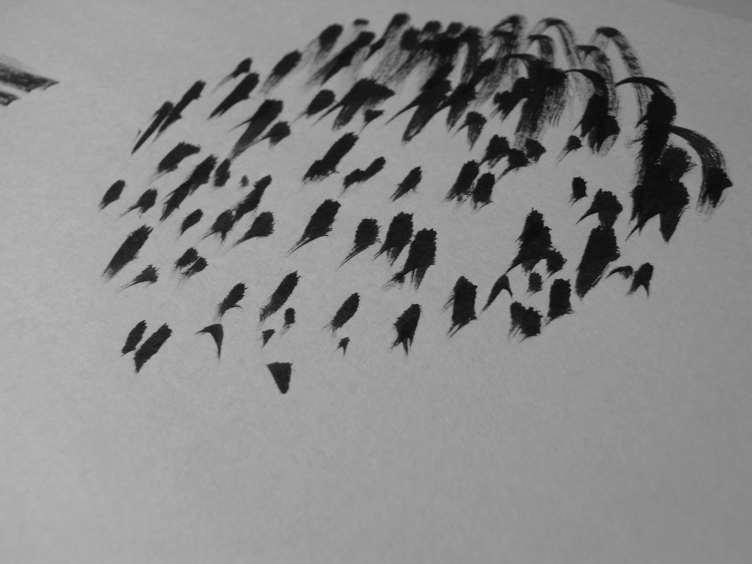 Kevin-Brown-Calligraphy-Quixotica-RIMG0605.JPG