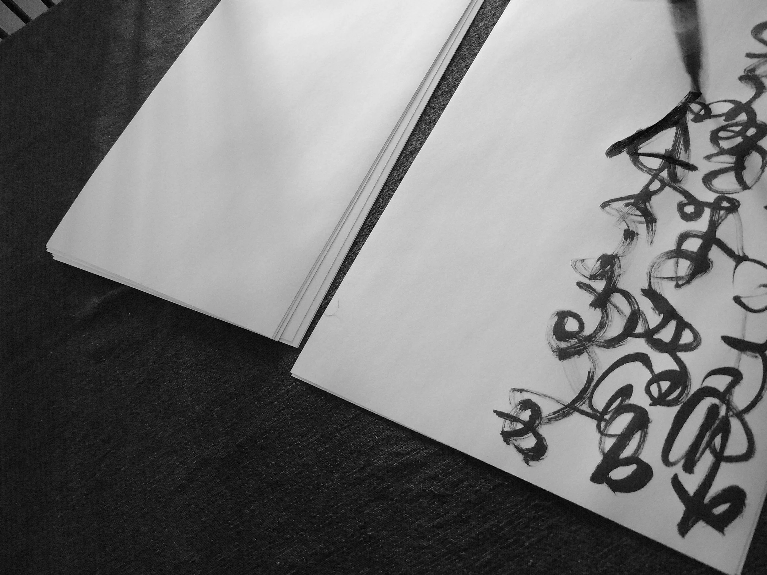 Kevin-Brown-Calligraphy-Constitution-R0019841.JPG