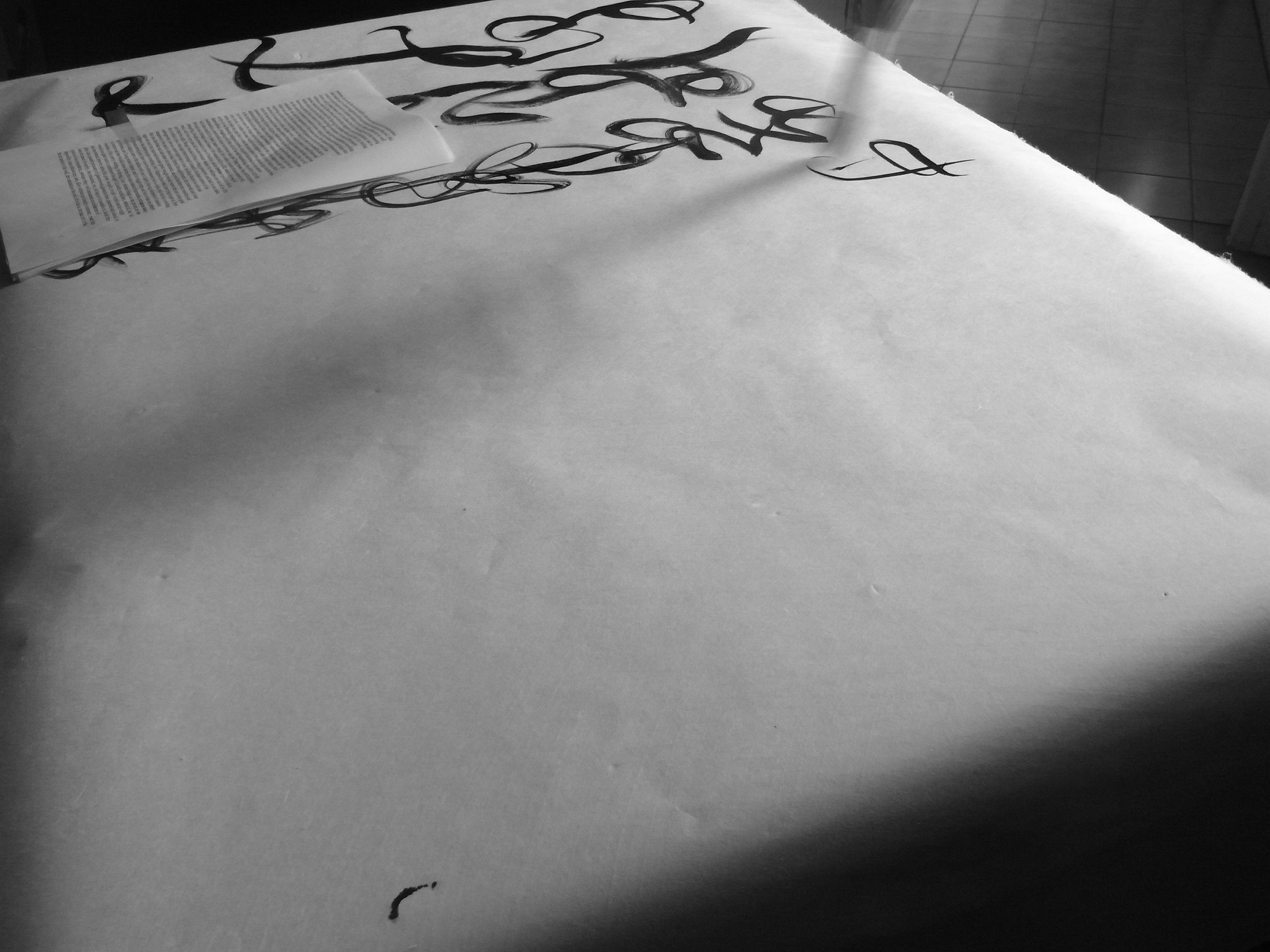 Kevin-Brown-Calligraphy-Life-Sentence-XIII-R0037907.JPG