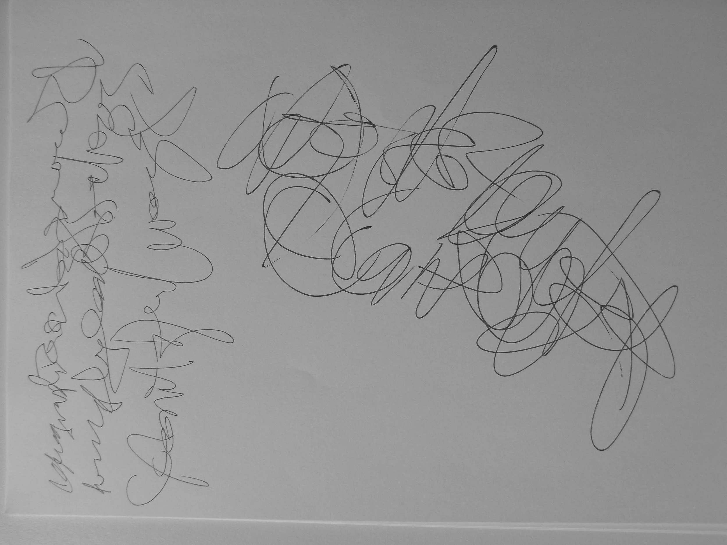 Kevin-Brown-Calligraphy-Quixotica-RIMG0569.JPG